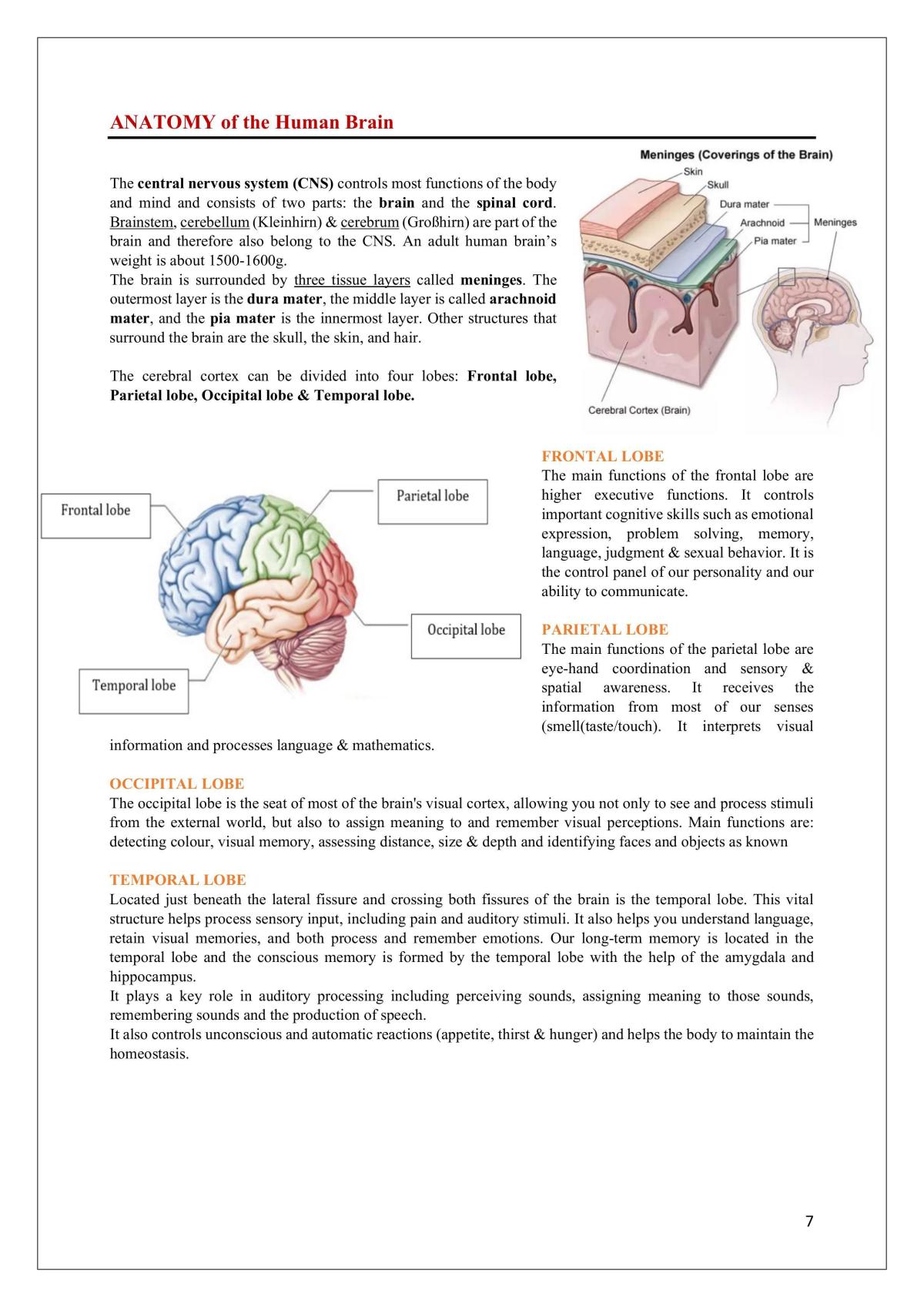 Neurobiology of Behaviour Summary - Page 7