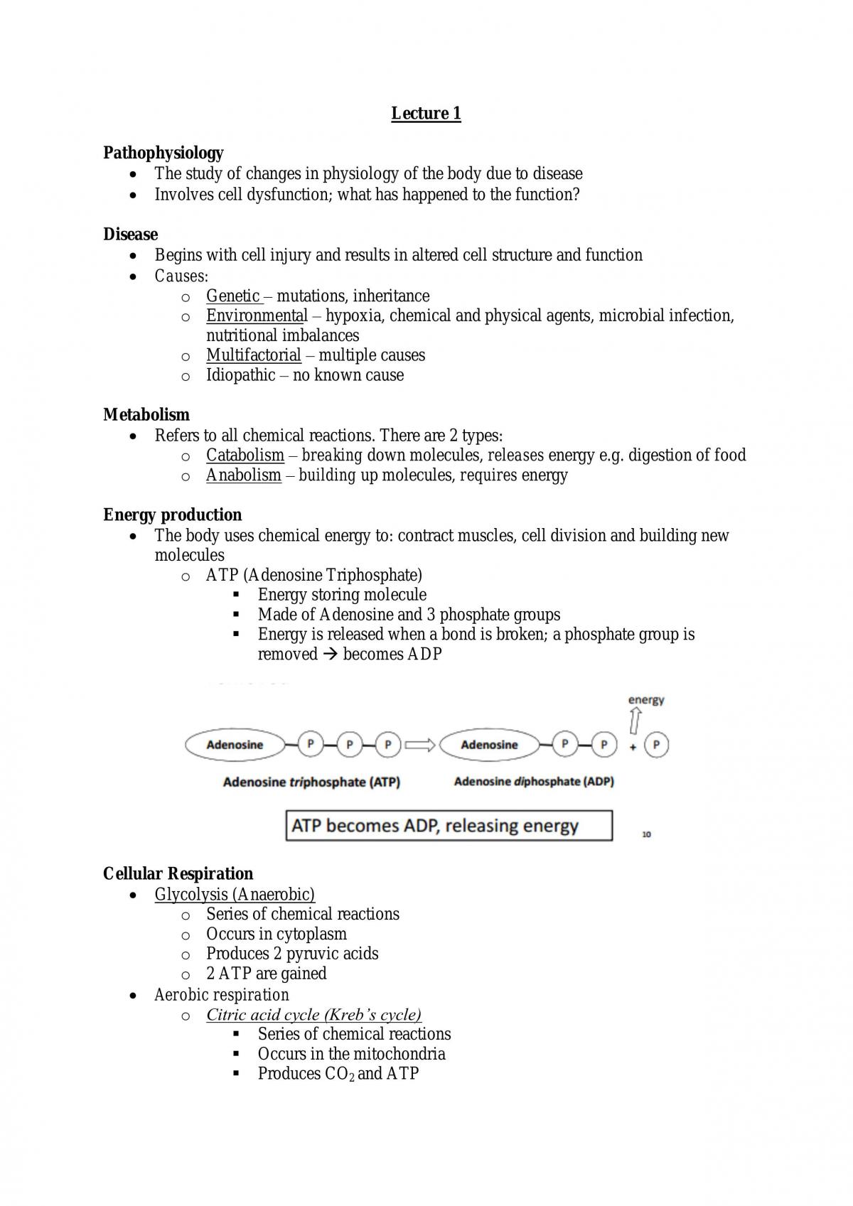 LSB282 Progress Exam Notes - Page 1