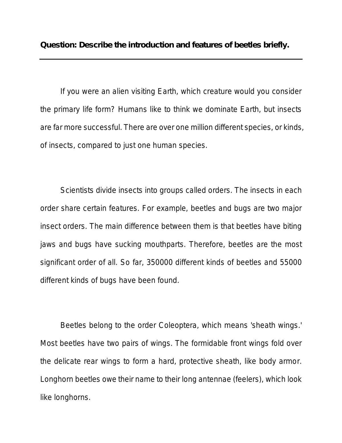 Essay: Introducing Beetles - Page 1