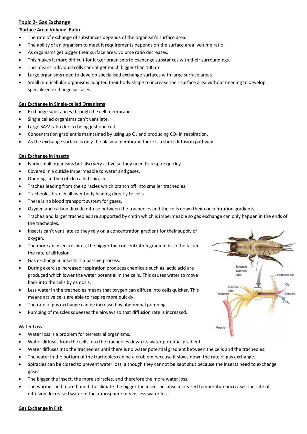 Edexcel AS Biology (B) notes  - Page 1