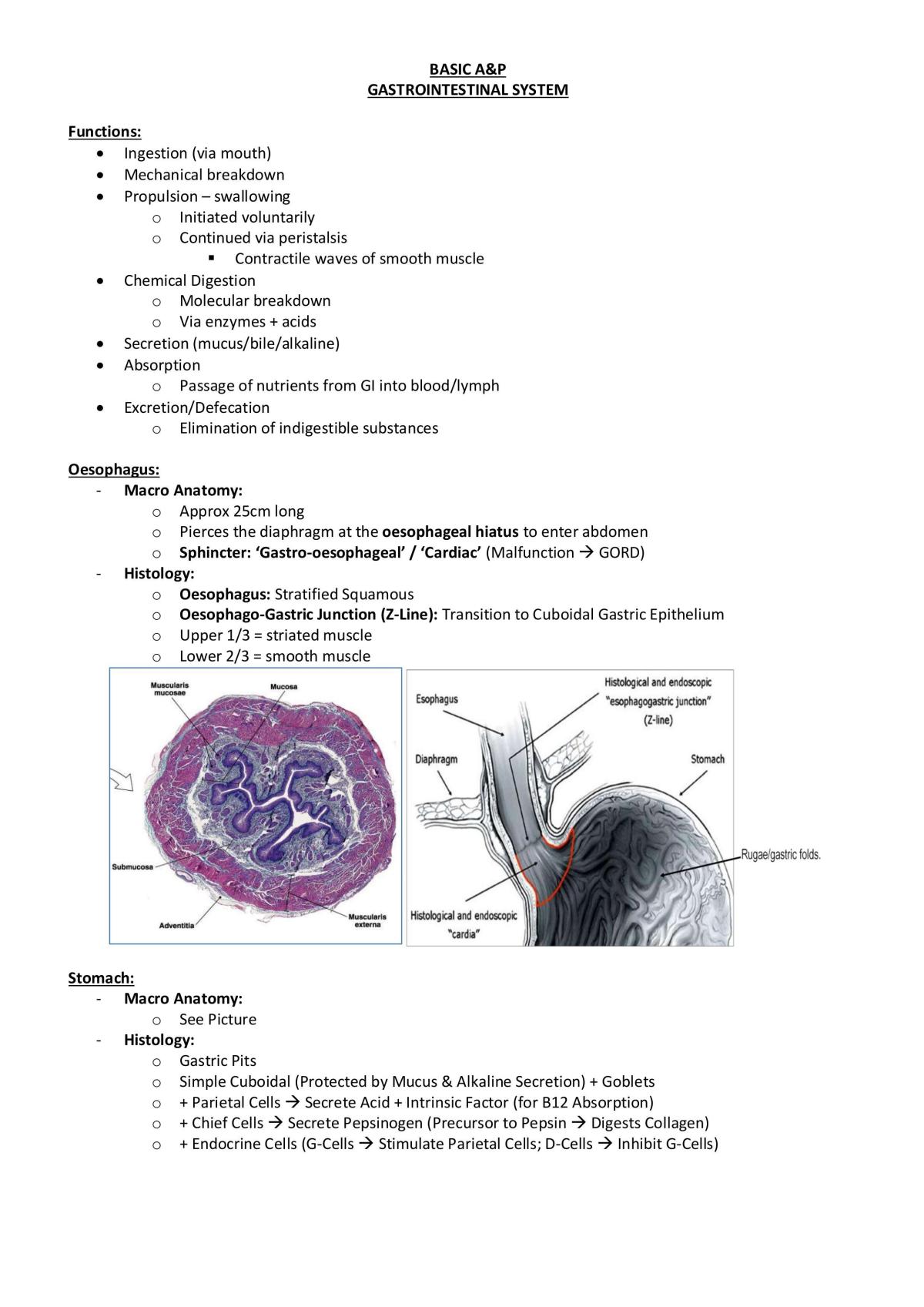 Basic of GIT - Surgery - Page 1