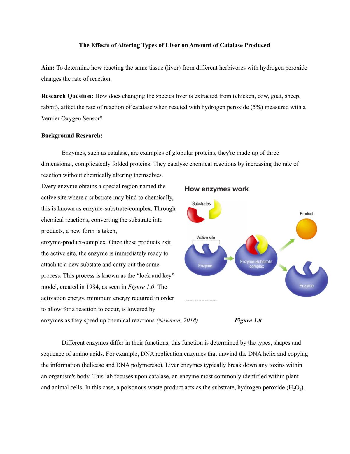 Lab - Page 1