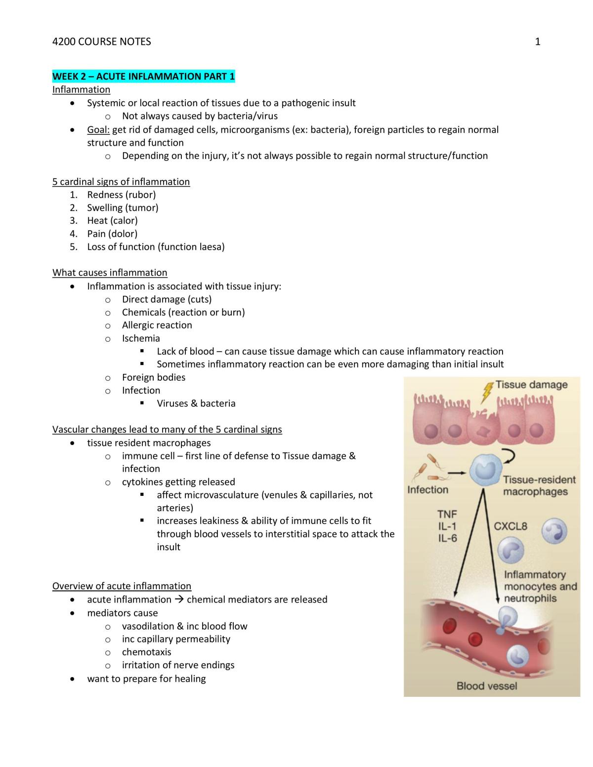 Medical Sciences 4200 - Page 1