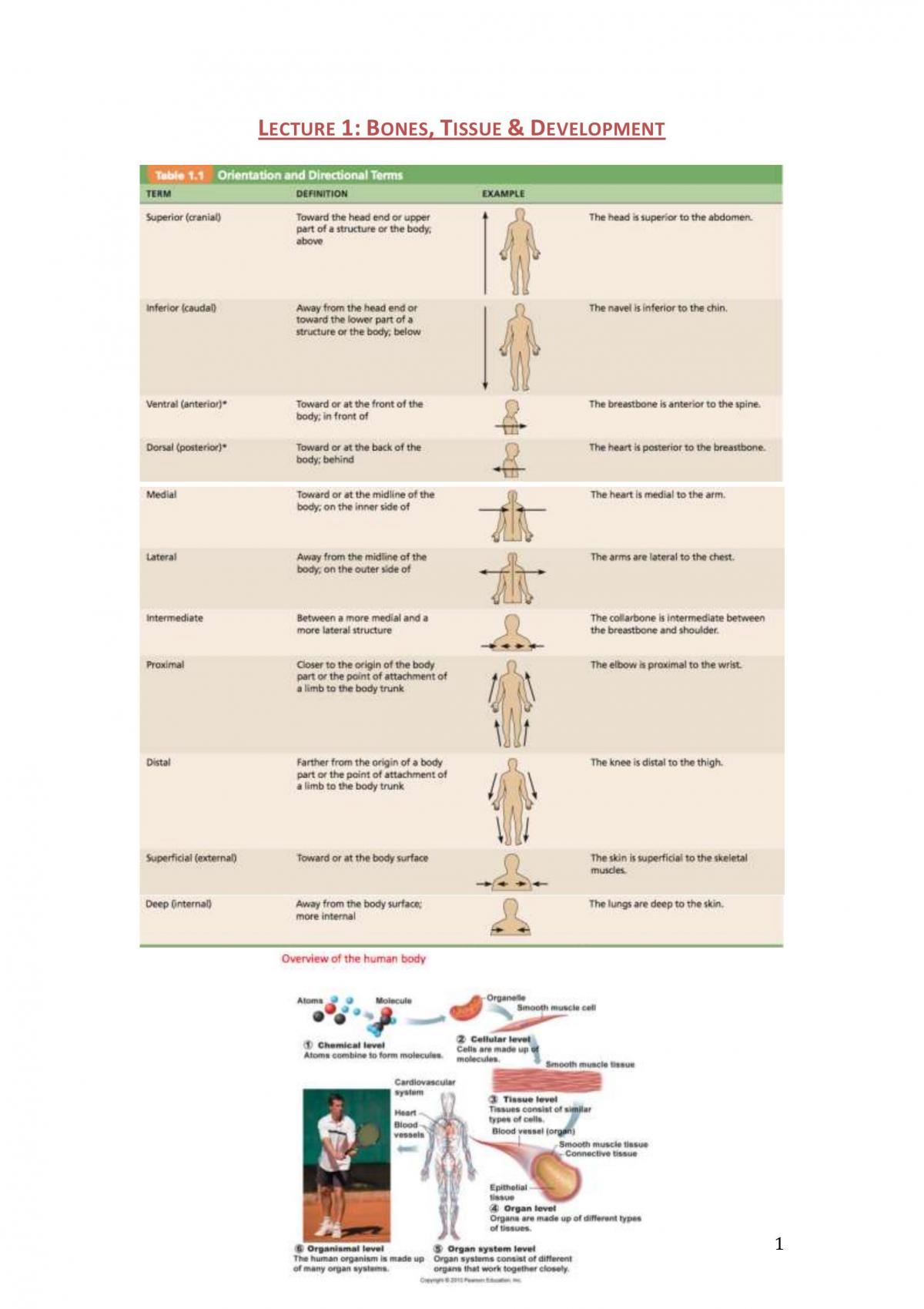 1016MSC Study Notes - Page 1
