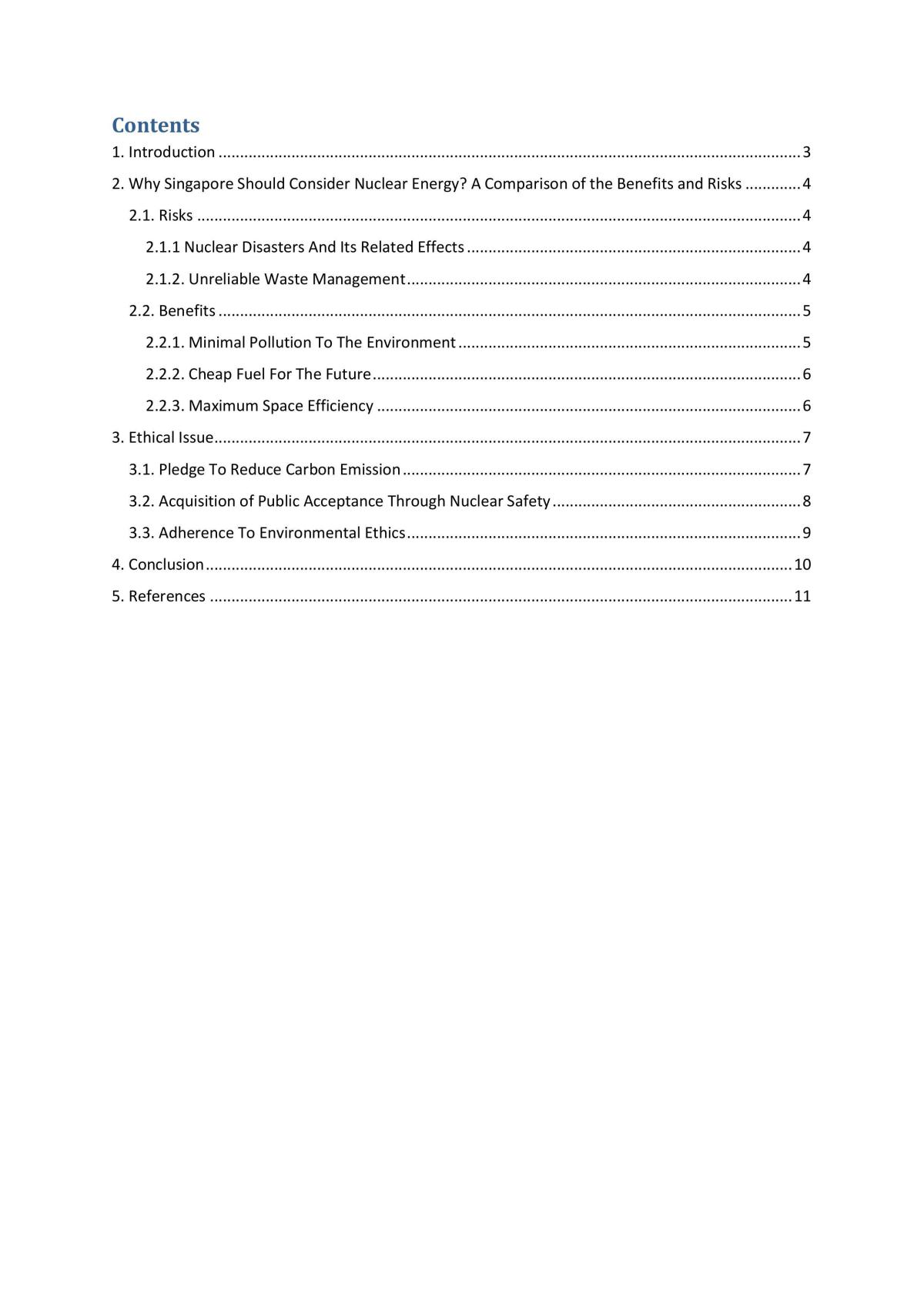 Should Singapore Go Nuclear?  - Page 1