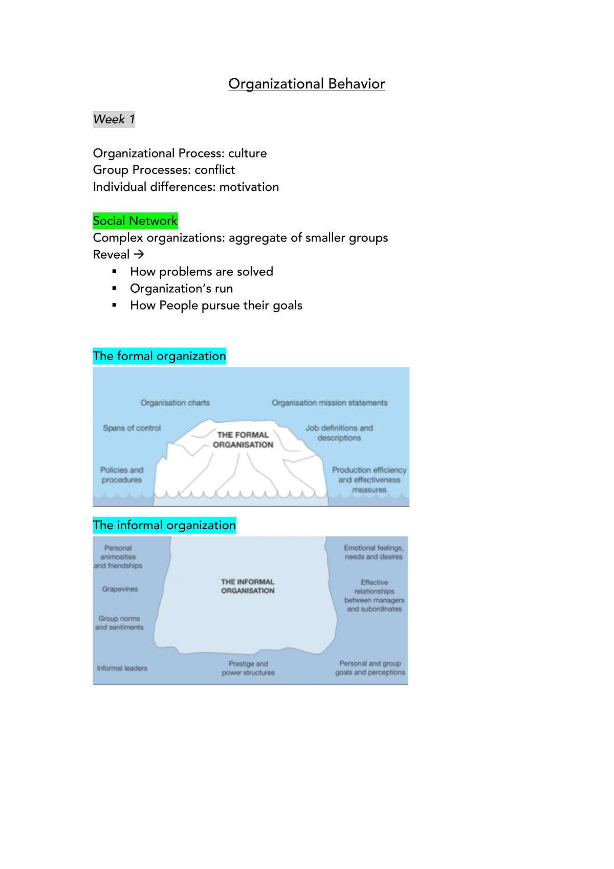 Organisational Behaviour Study Notes - Page 1