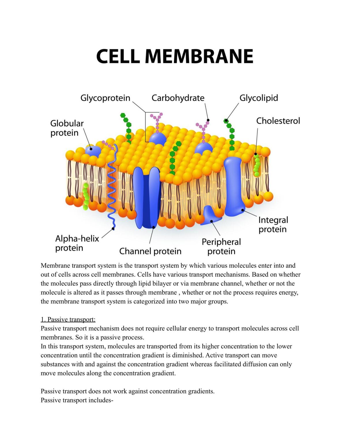 Preliminary Biology complete study notes - Page 9