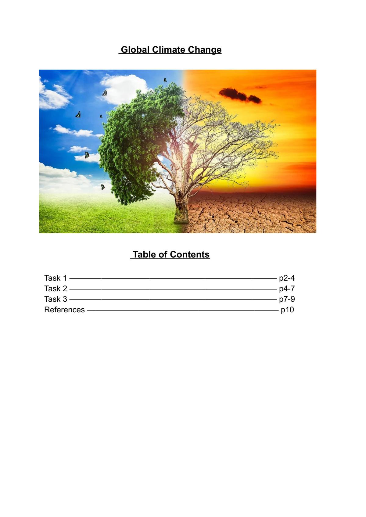 Geography Level 2 AS 91246 Exemplar - Page 1