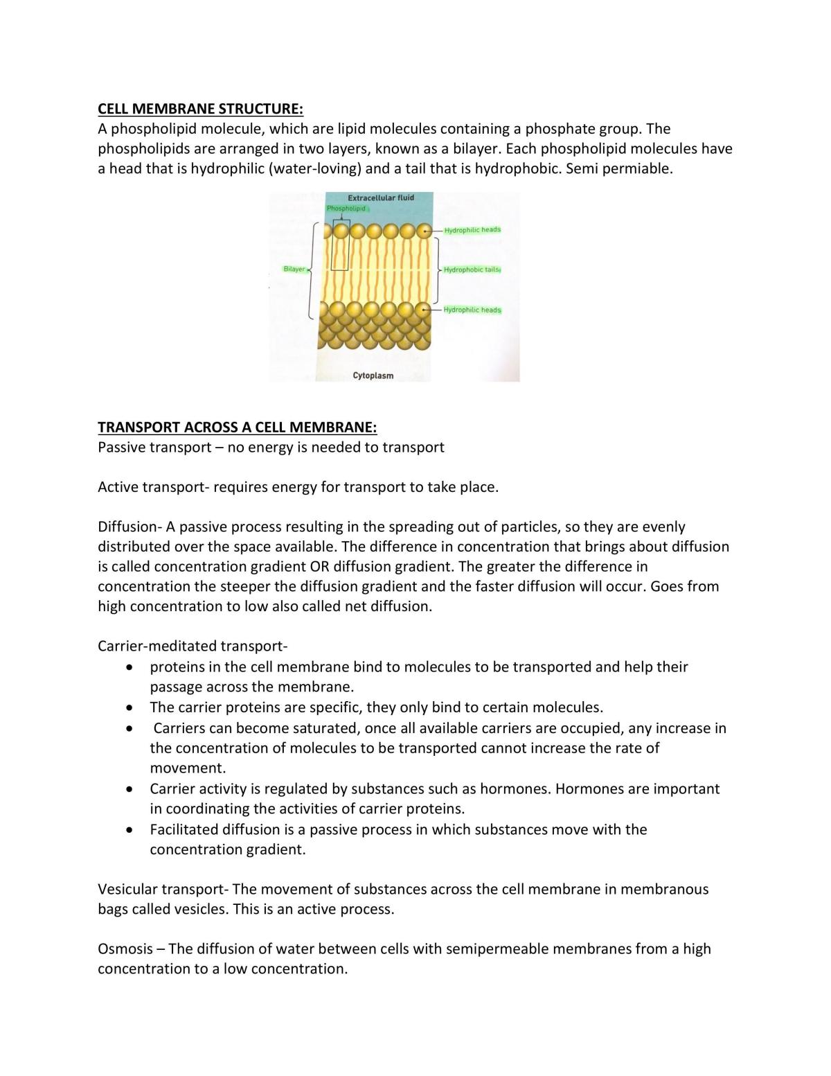 Semester 1 Exam Notes  - Page 1