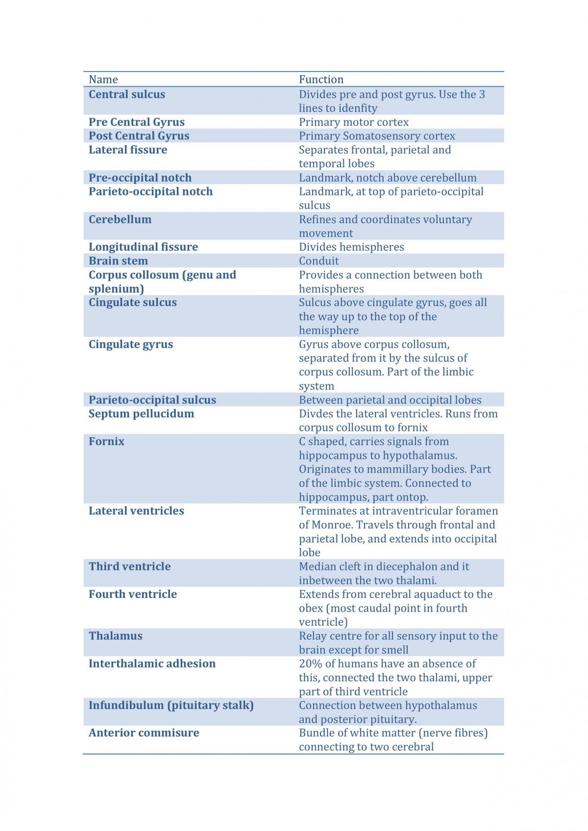 Neuroanatomy Exam Notes  - Page 1