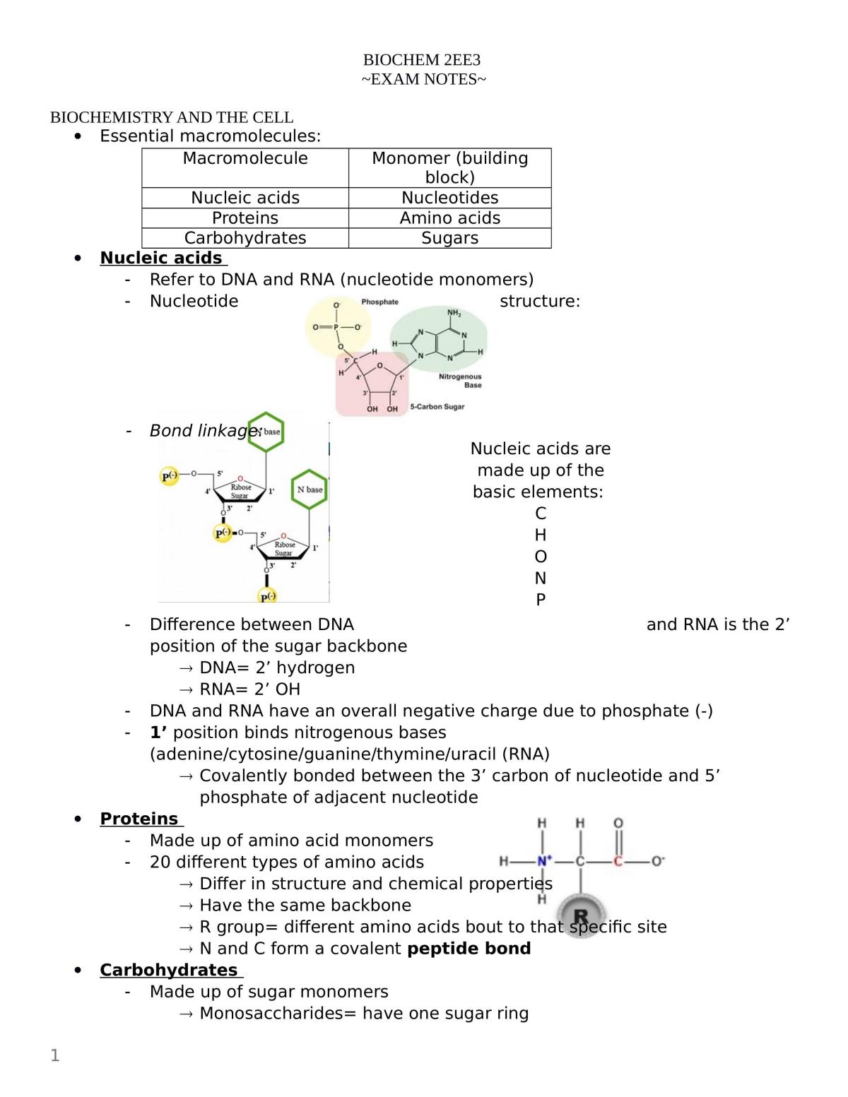 Complete Study Notes - Biochemistry - Page 1
