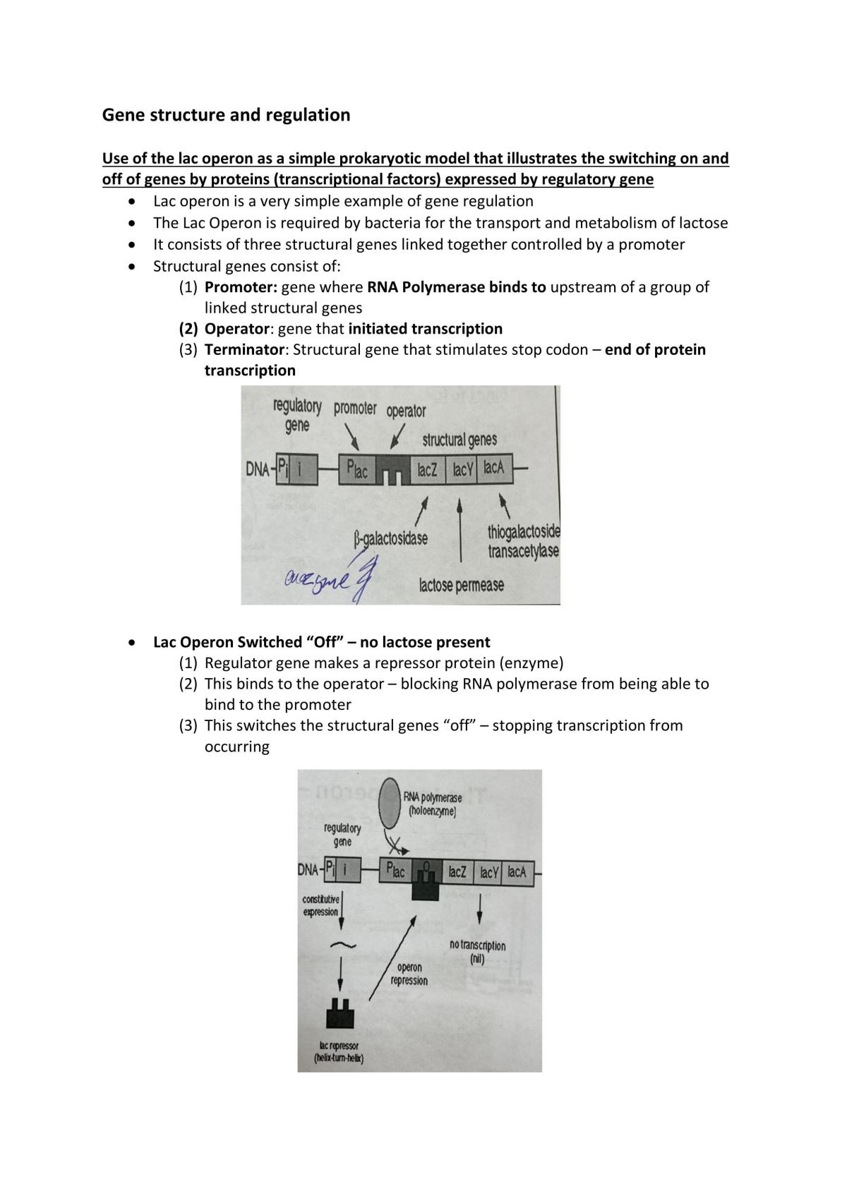 Unit 3 Sac 1 - Page 1