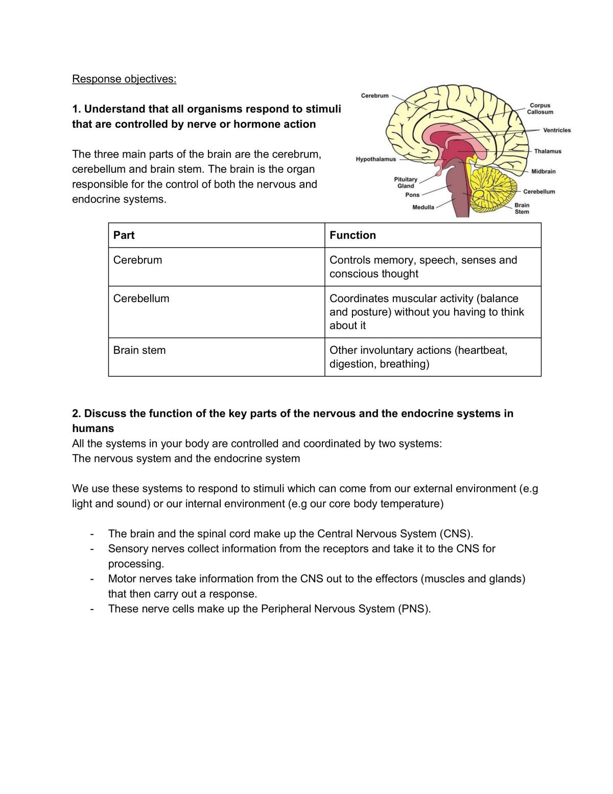 Response to the Brain - Page 1
