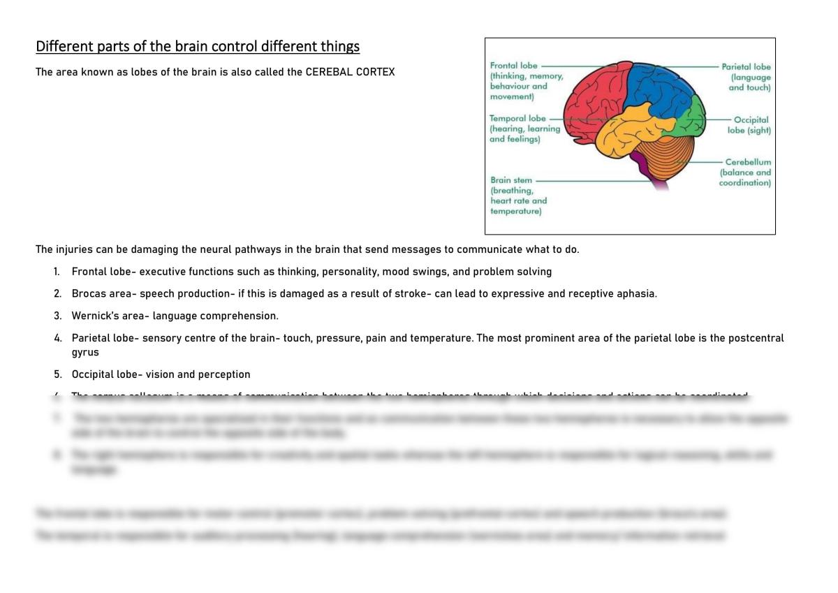 Different Properties of the Brain Analysis - Page 1
