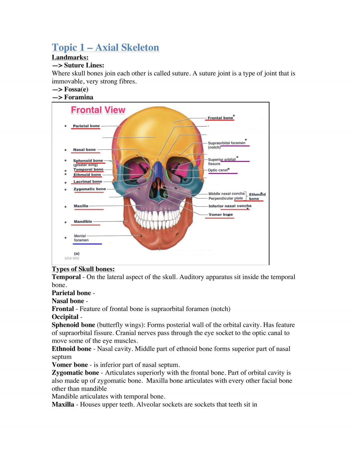 Anatomy & Physiology Systems I Full Notes - Page 1