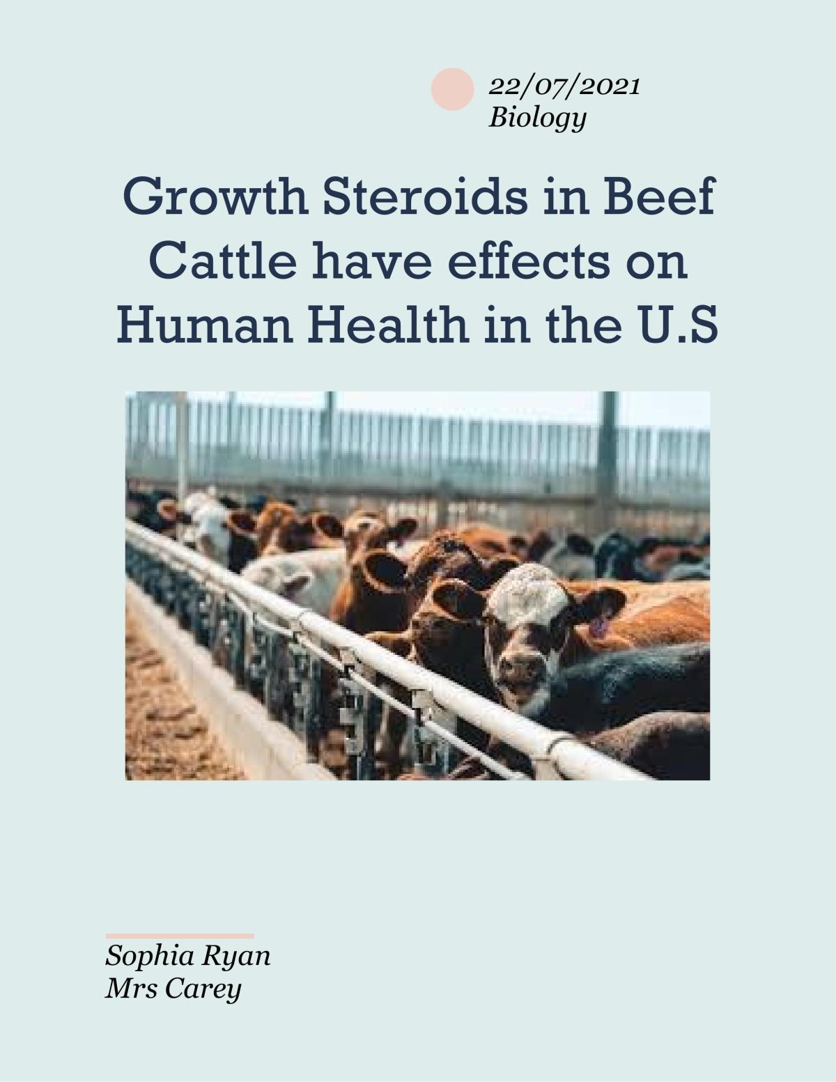 Growth Steroids in Beef Cattle Have Effects on Human Health - Page 1