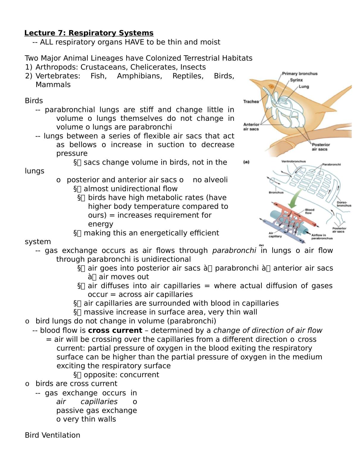 Exam Notes - BIO271H1 - Page 1