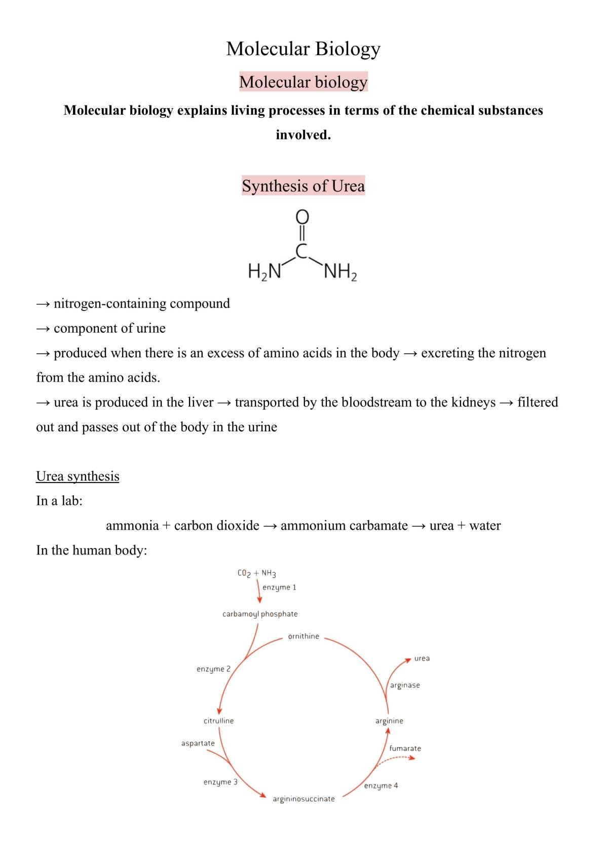 Molecular Biology Notes - Page 1