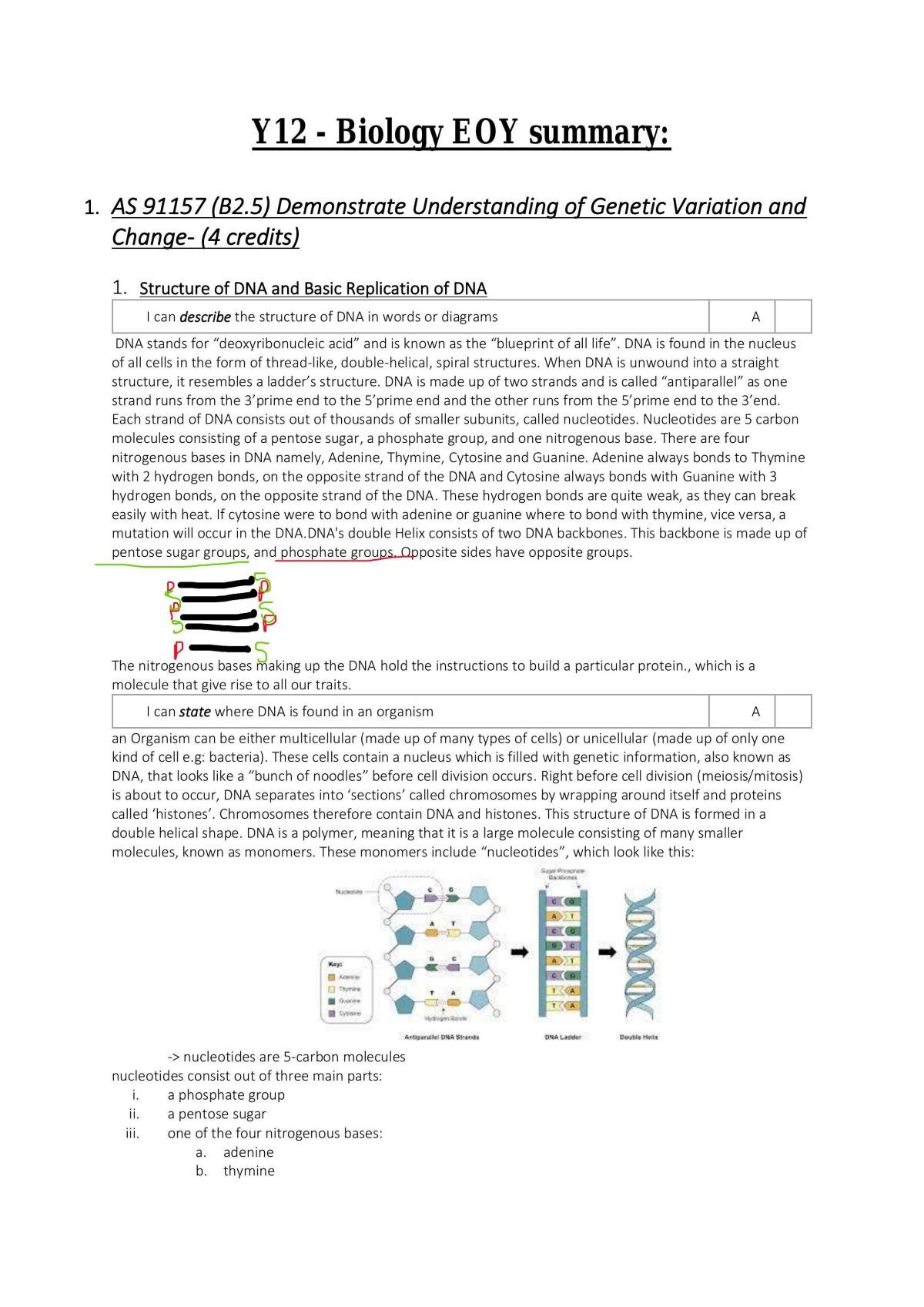 Ncea Level 2 Biology Genetic Variation Full Study Notes - Page 1