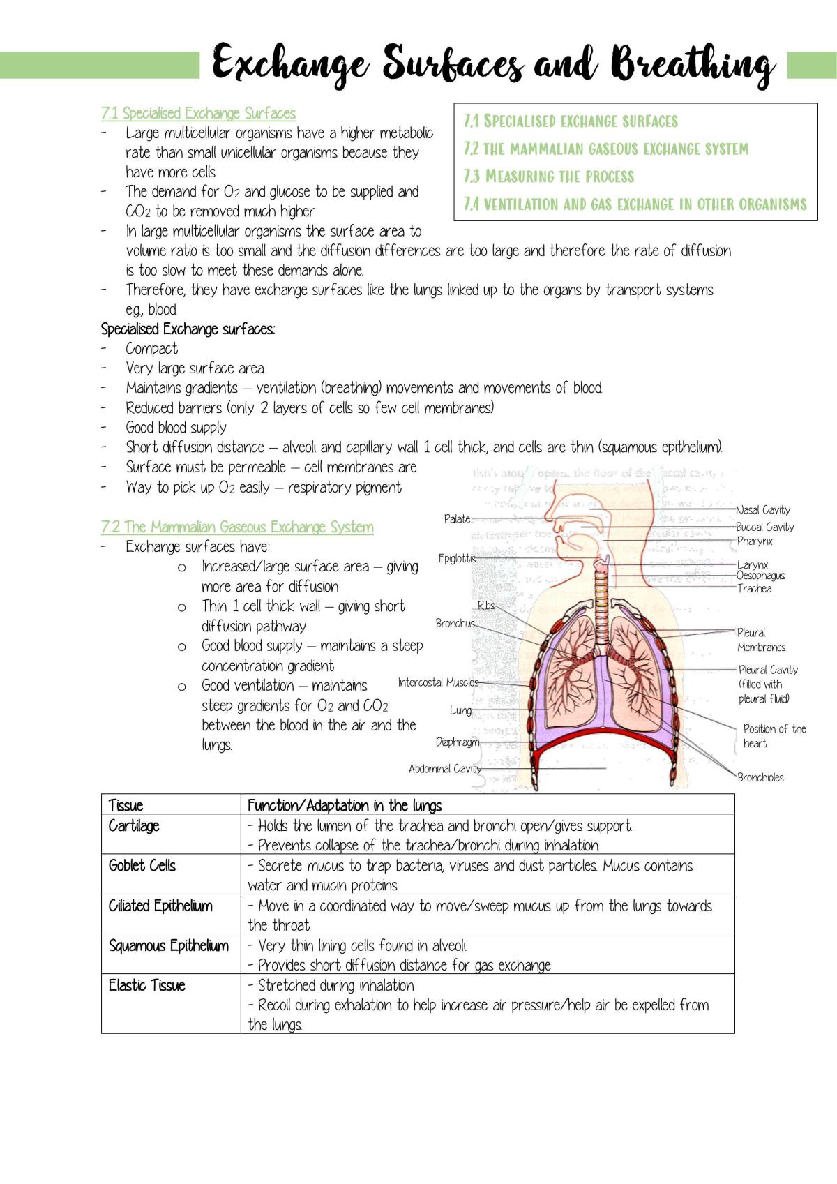 Complete Module 3 AS/A Level OCR Biology - Page 1