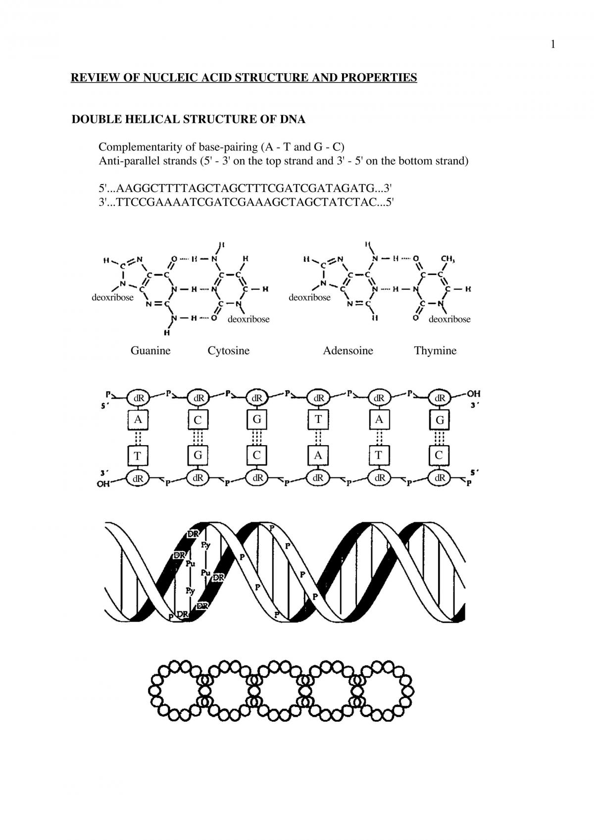 Molecular Biology 1 Notes - Page 1