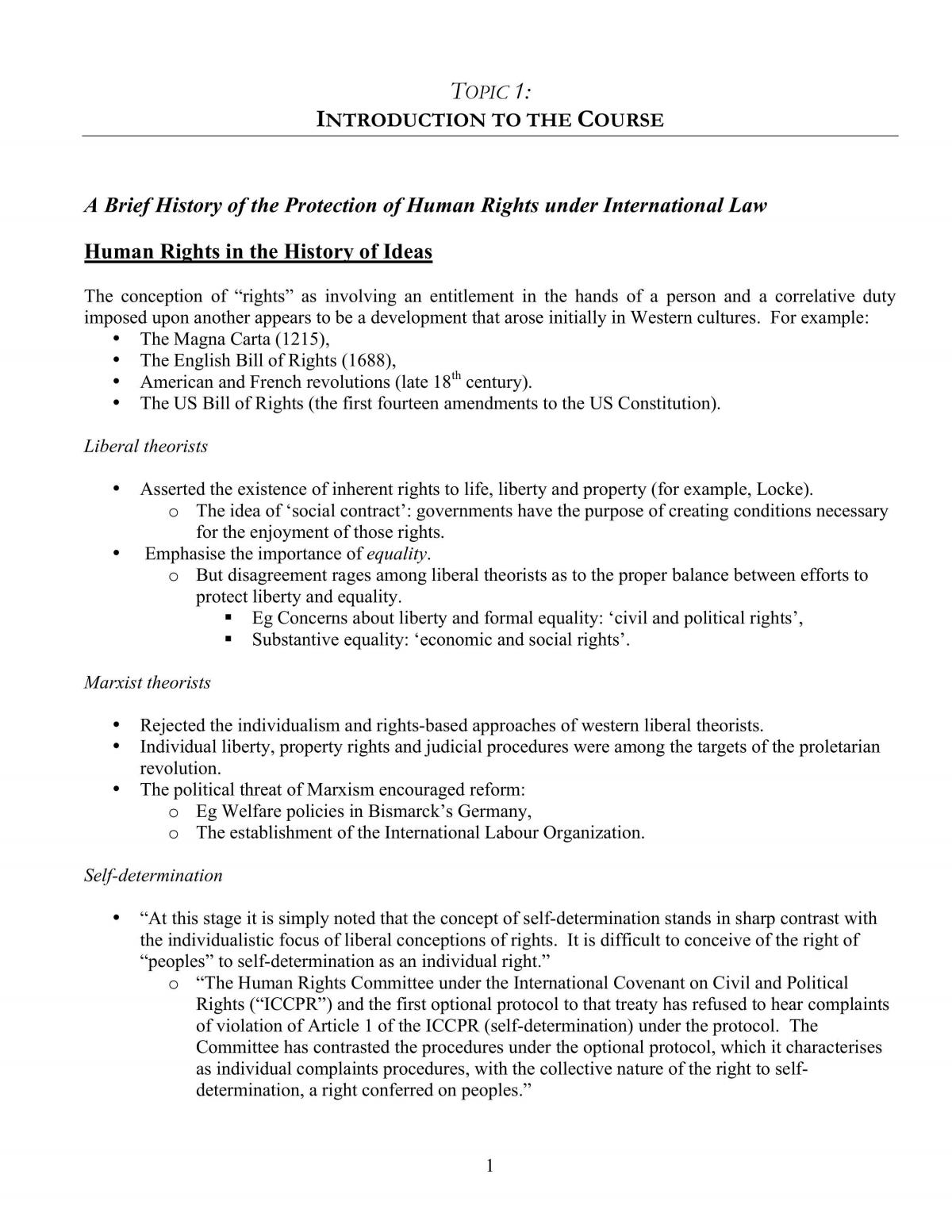 International Human Rights Notes - Page 1