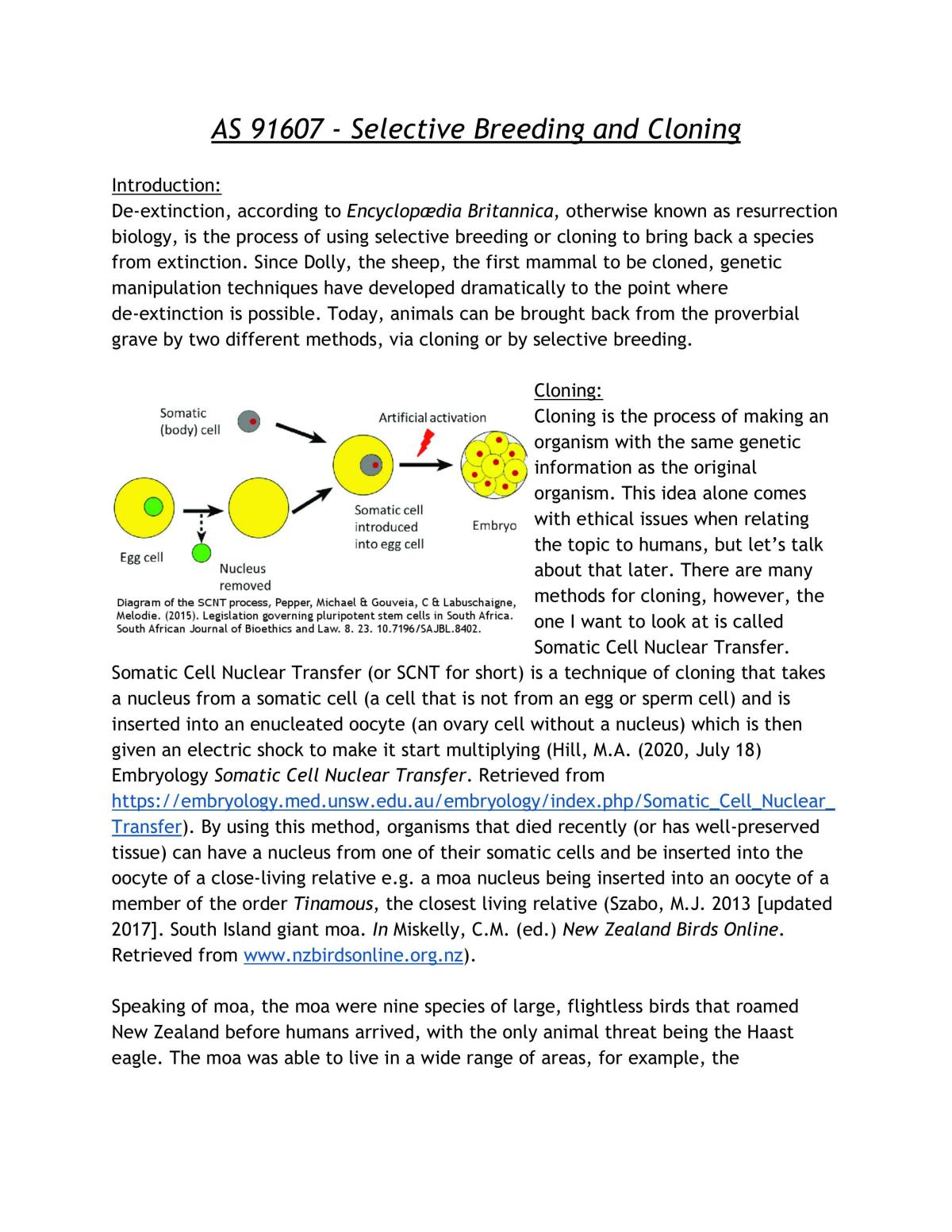 AS91607 Human Manipulation (3.7) - Page 1