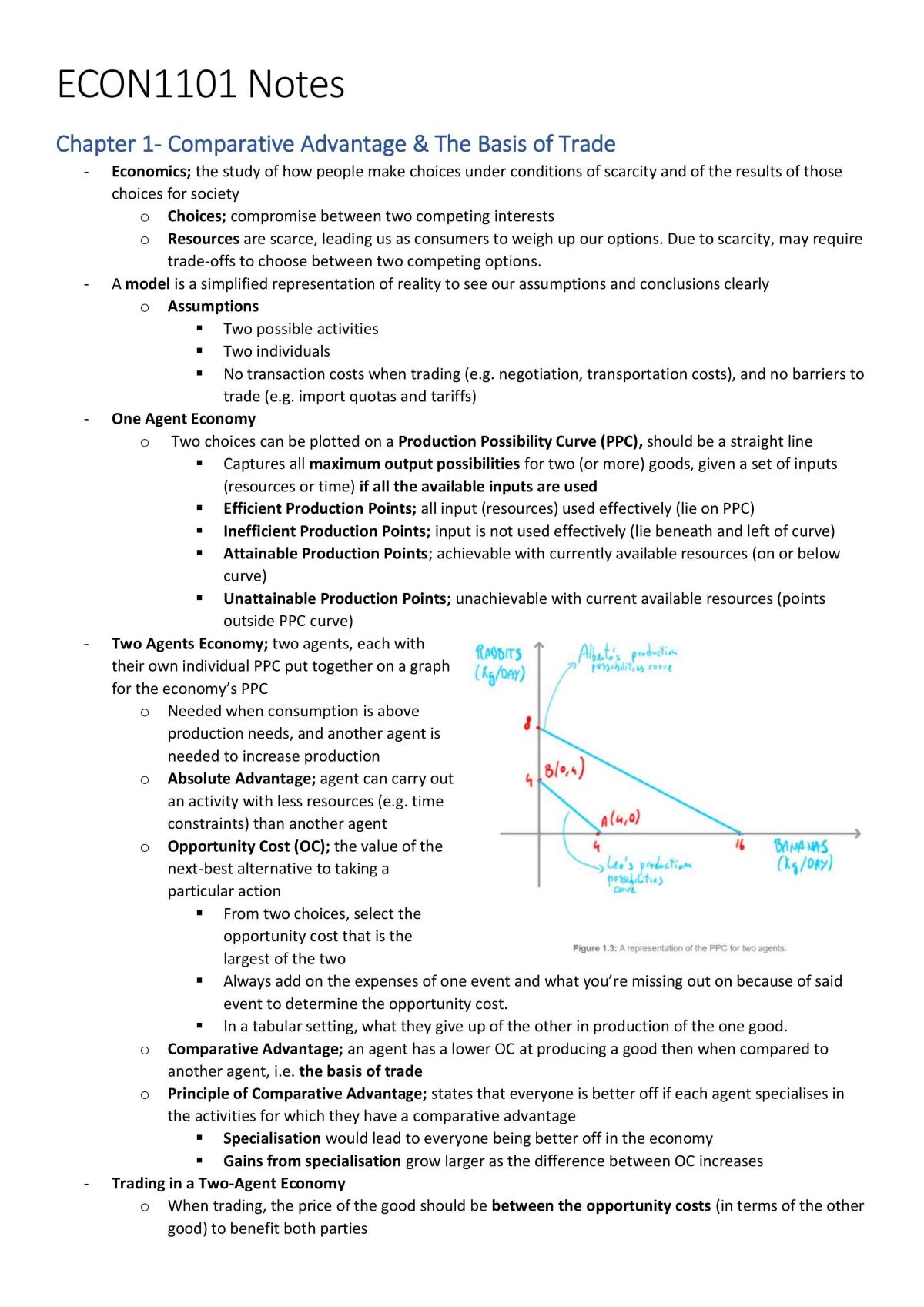 Econ1101 Complete Study Notes Hd Grade - Page 1