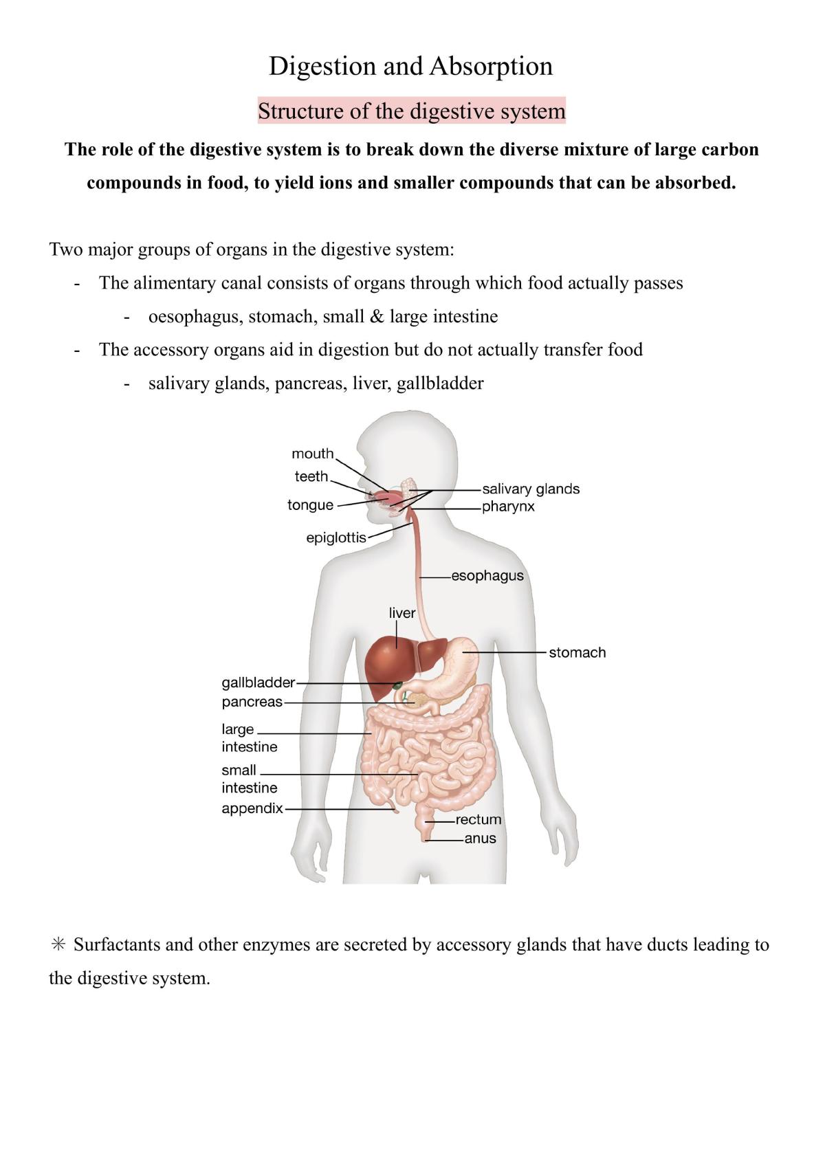 Bodily Systems - Page 1