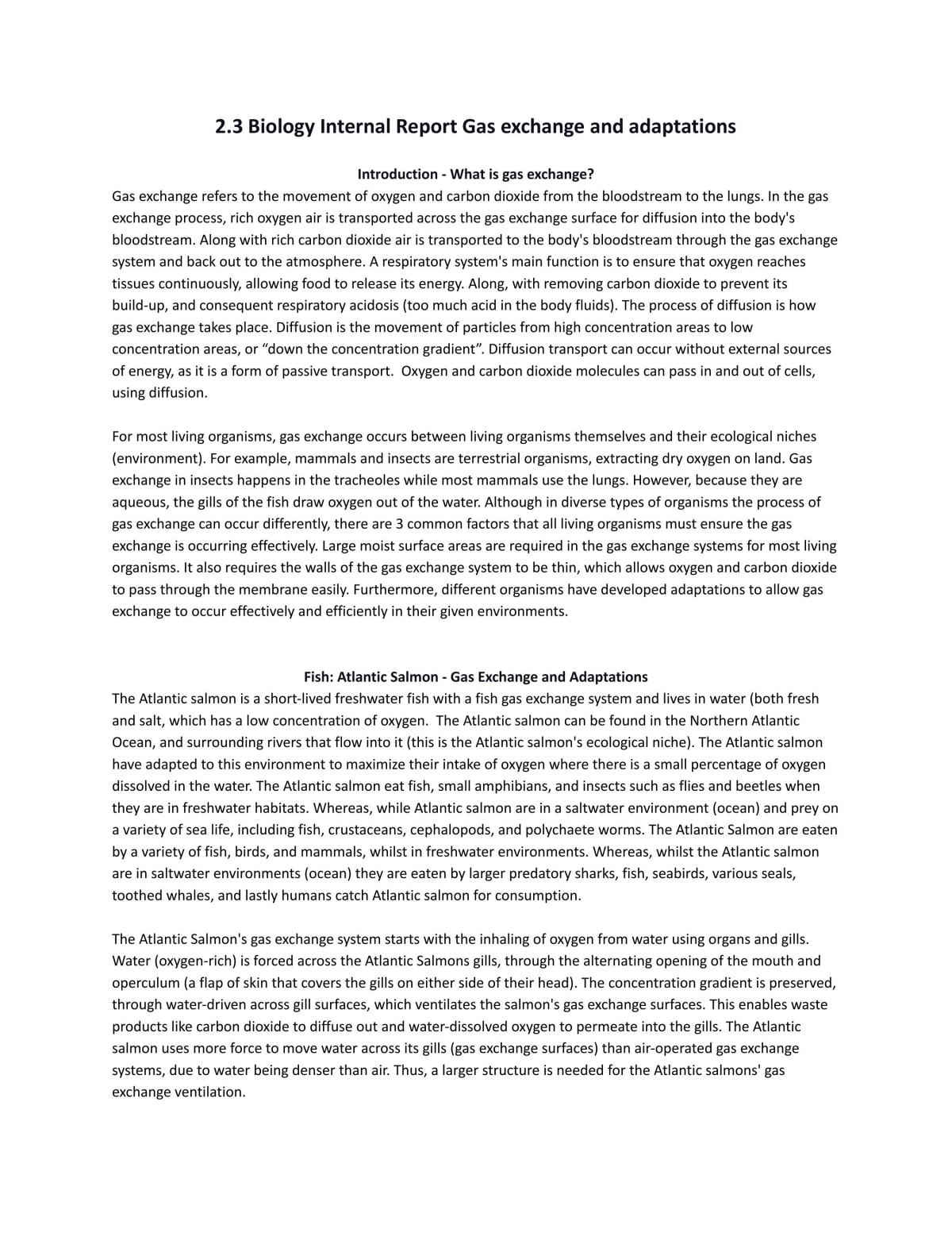 AS91155 - Report - Page 1
