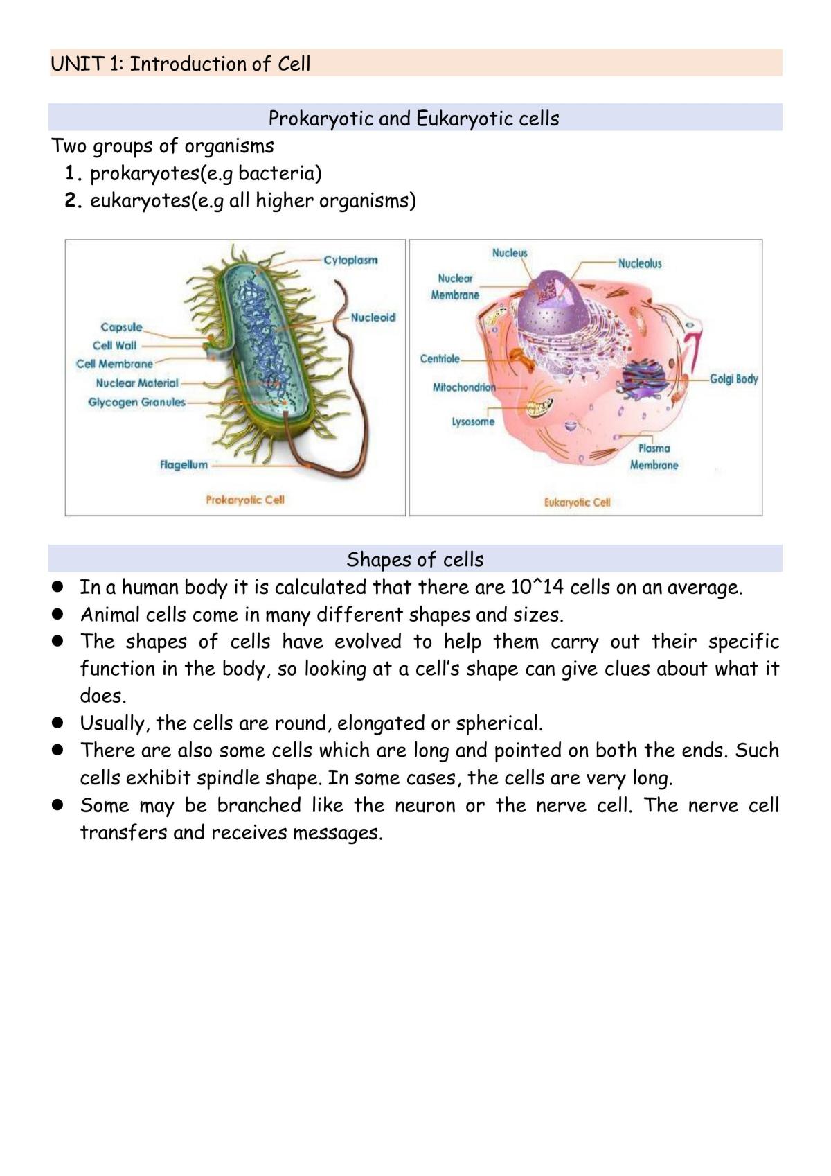 Cell Structure and Dynamics Notes - Page 1