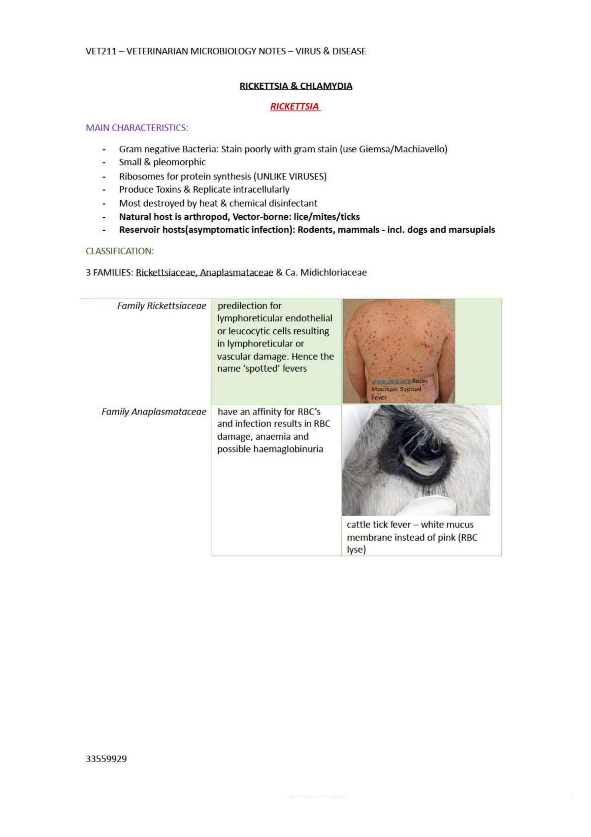 Veterinary Microbiology Lecture Notes - Page 1