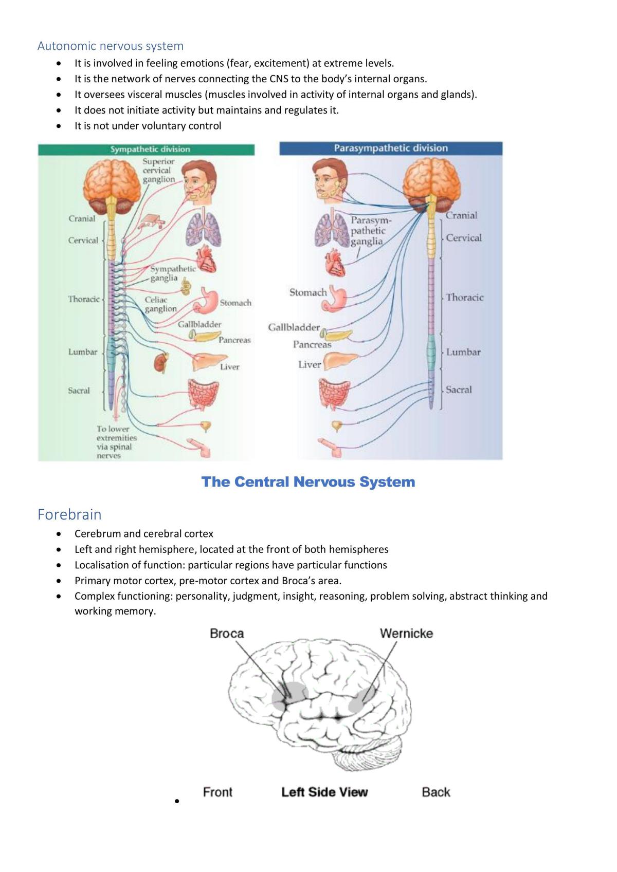 Localisation of the brain - Page 2