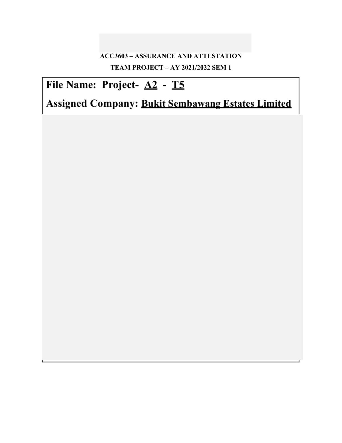 ACC3701 Project - Page 1
