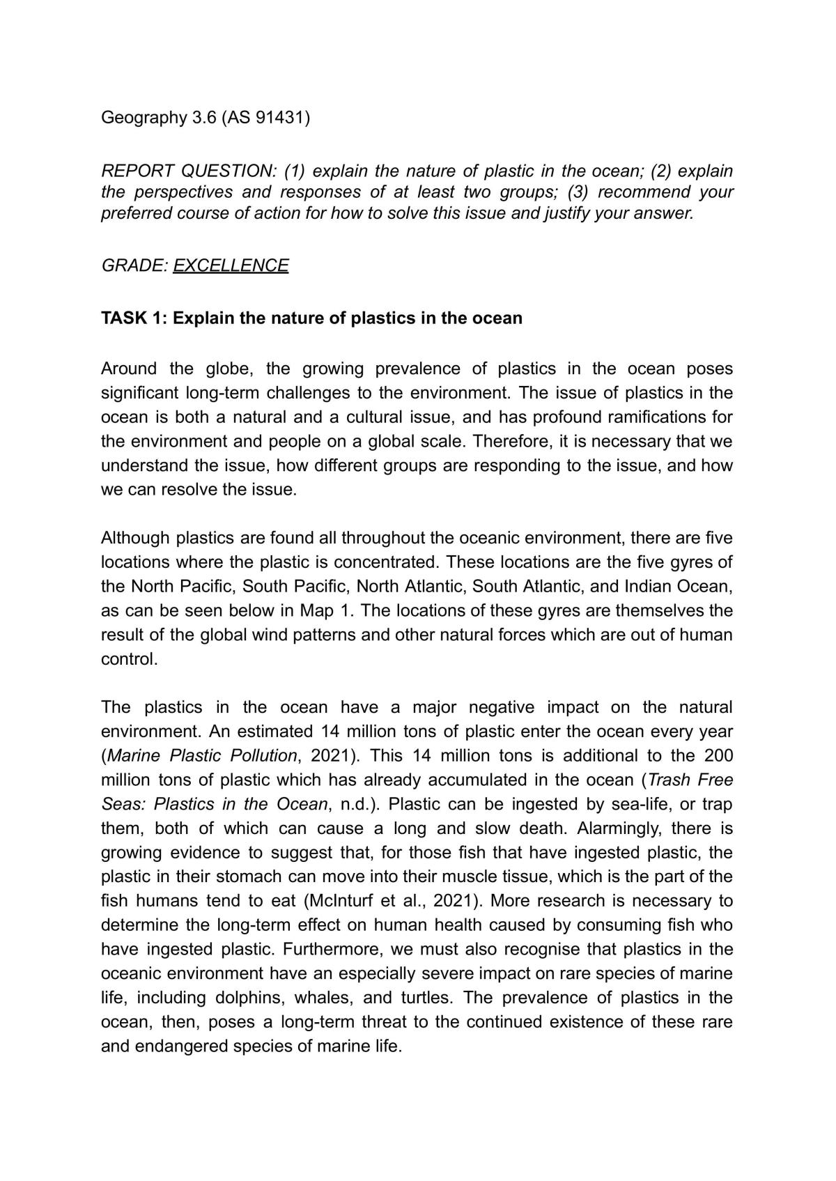 Report discussing plastics in the ocean and the different perspectives about the issue - Page 1