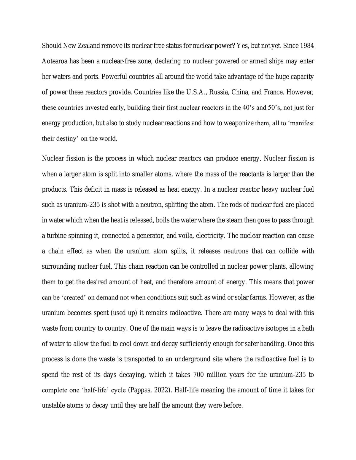 Essay on Nuclear Power in New Zealand - Page 1