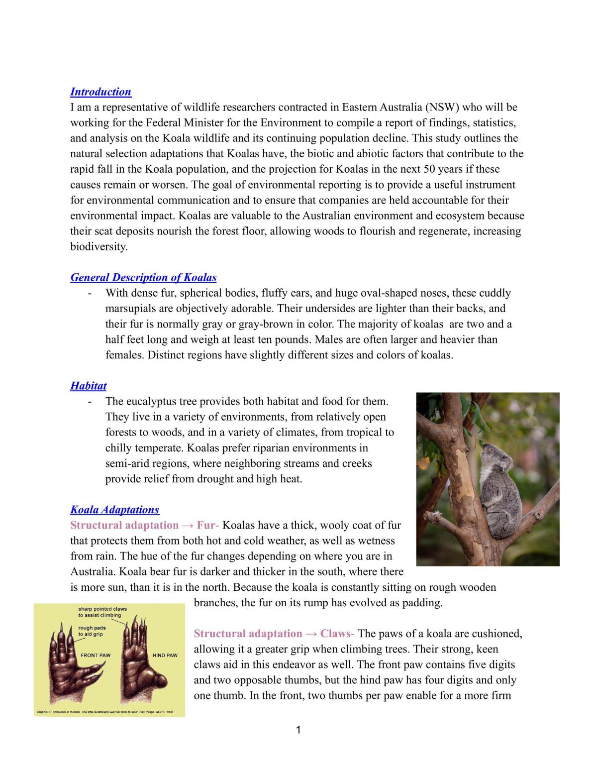 Depth study on koala  - Page 1