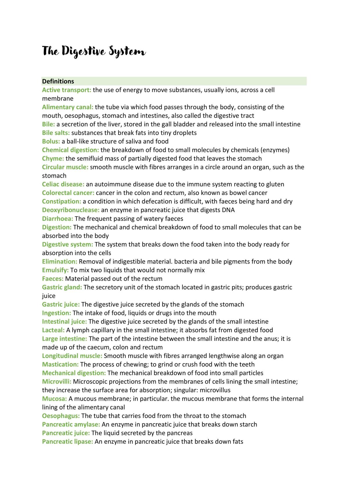 The Digestive System - Page 1