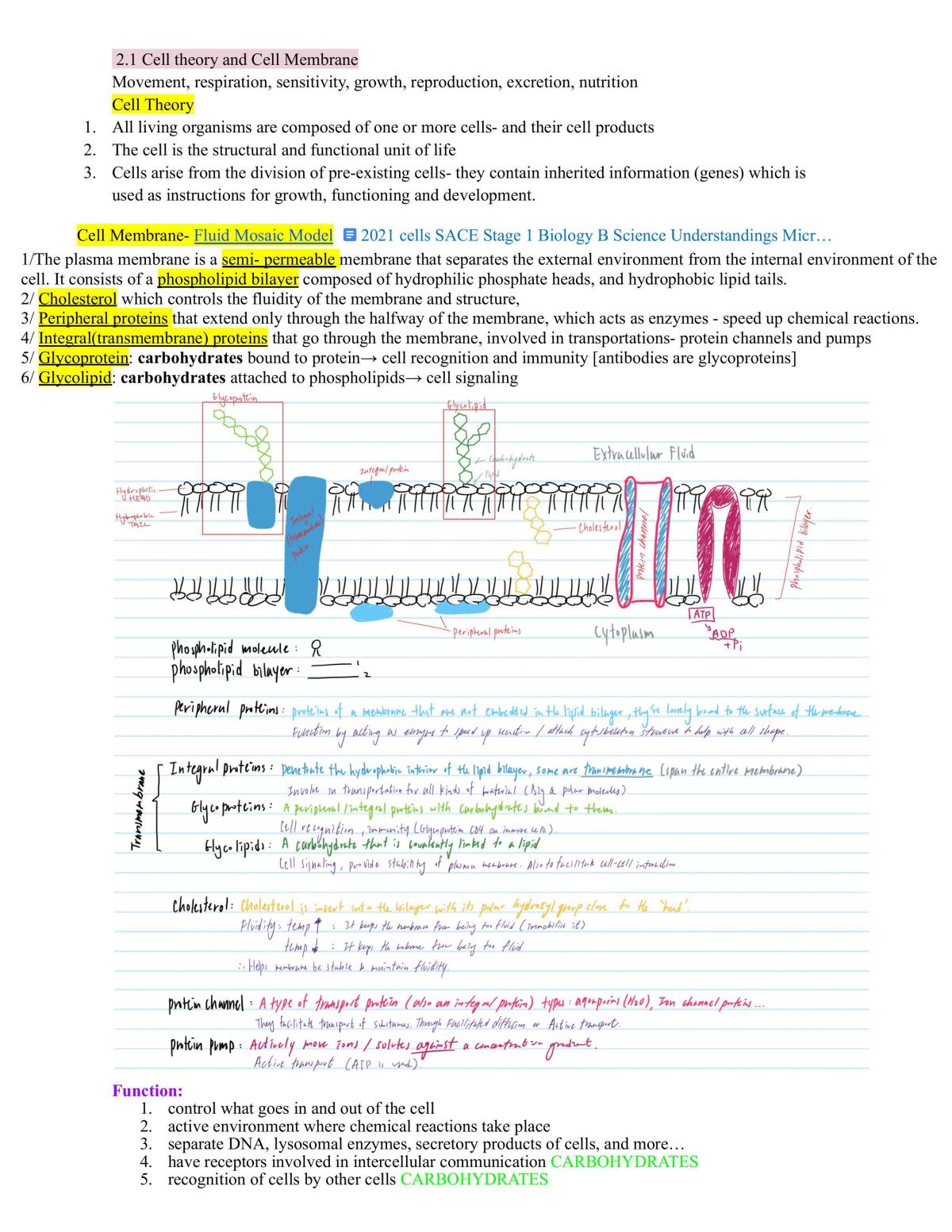 Cells as a basis of life - Page 1