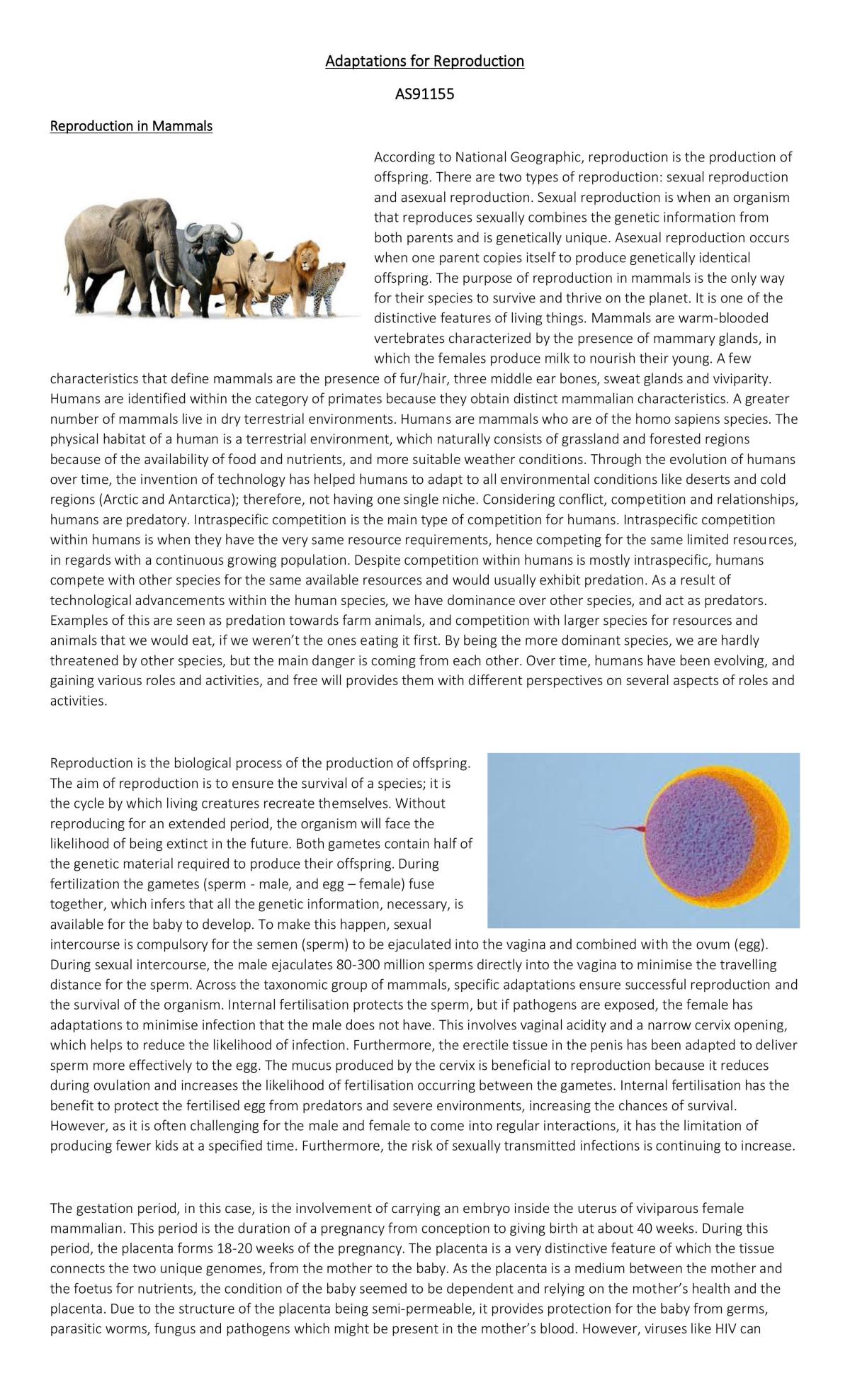 AS91155 - Reproduction - Page 1