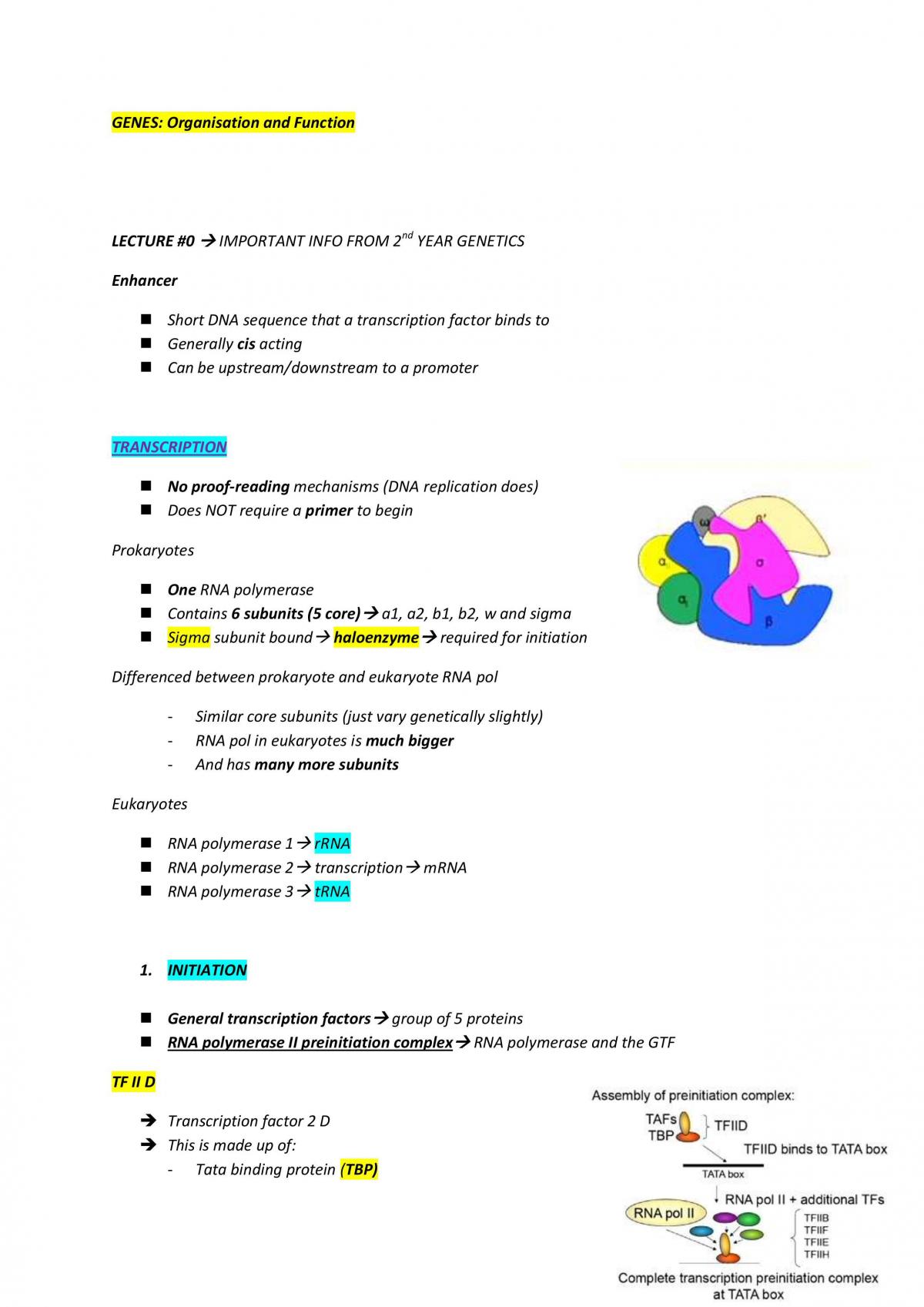Genes: Organisation and Function in-depth notes - Page 1