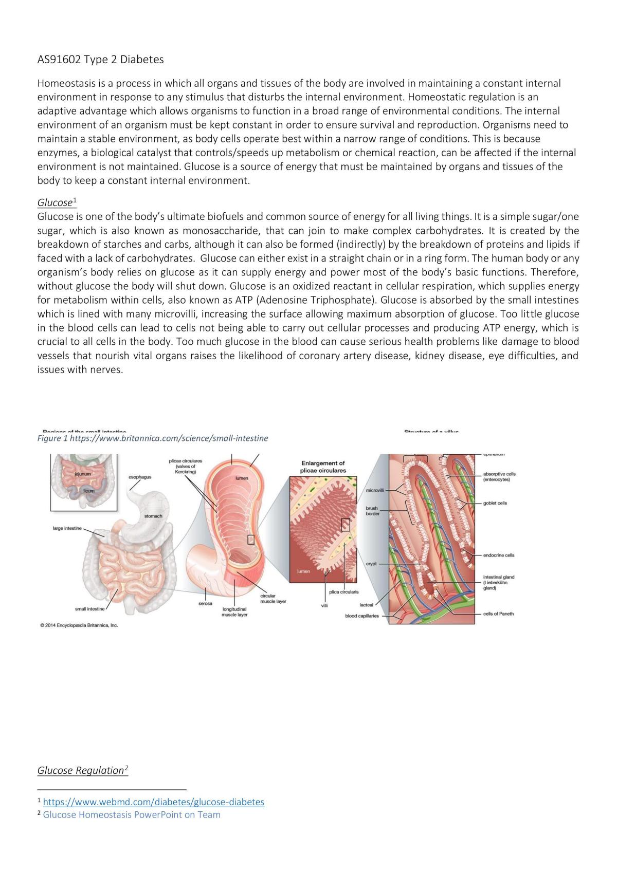 AS91602 Type 2 Diabetes   - Page 1