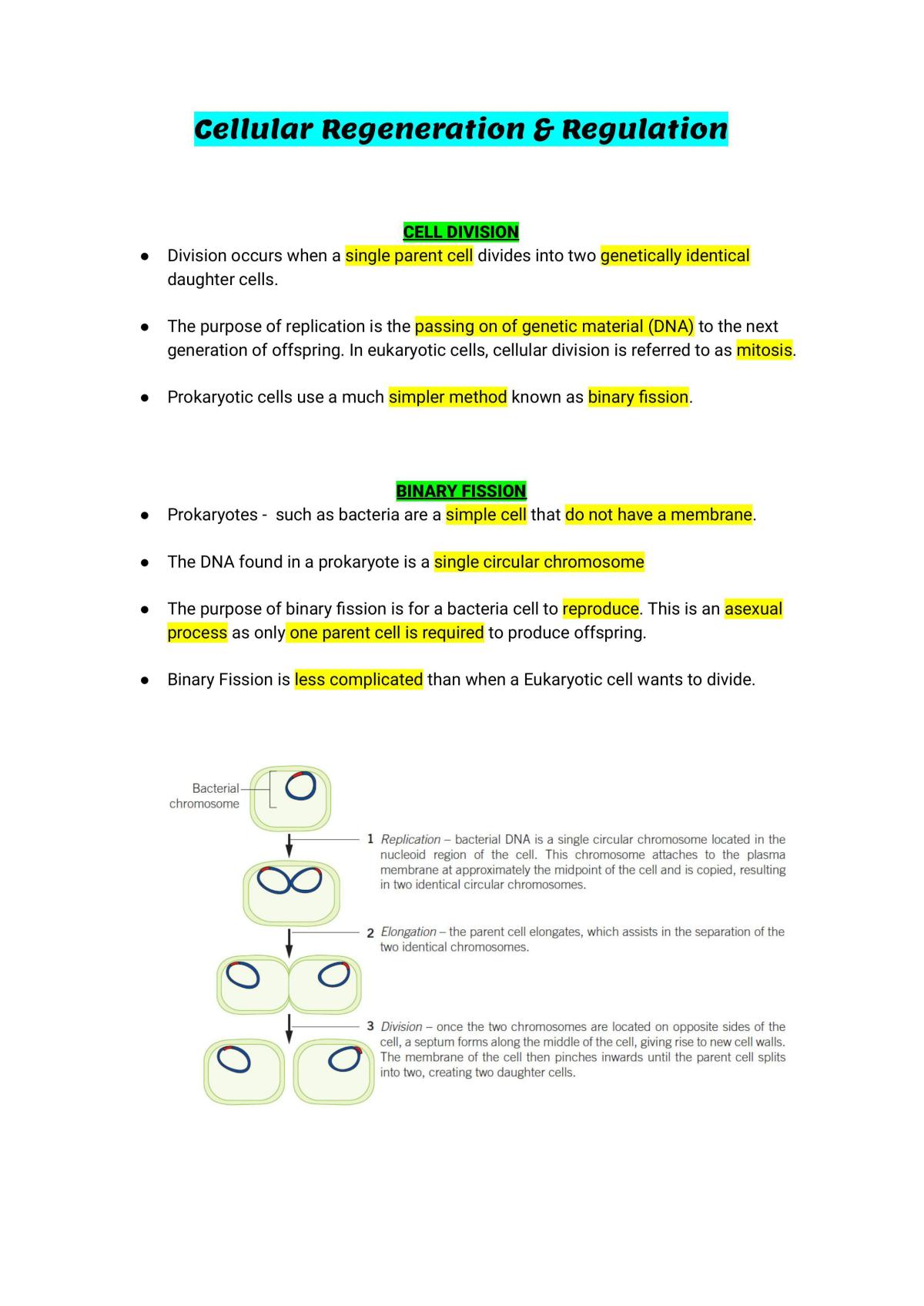 AOS 1 - Page 1