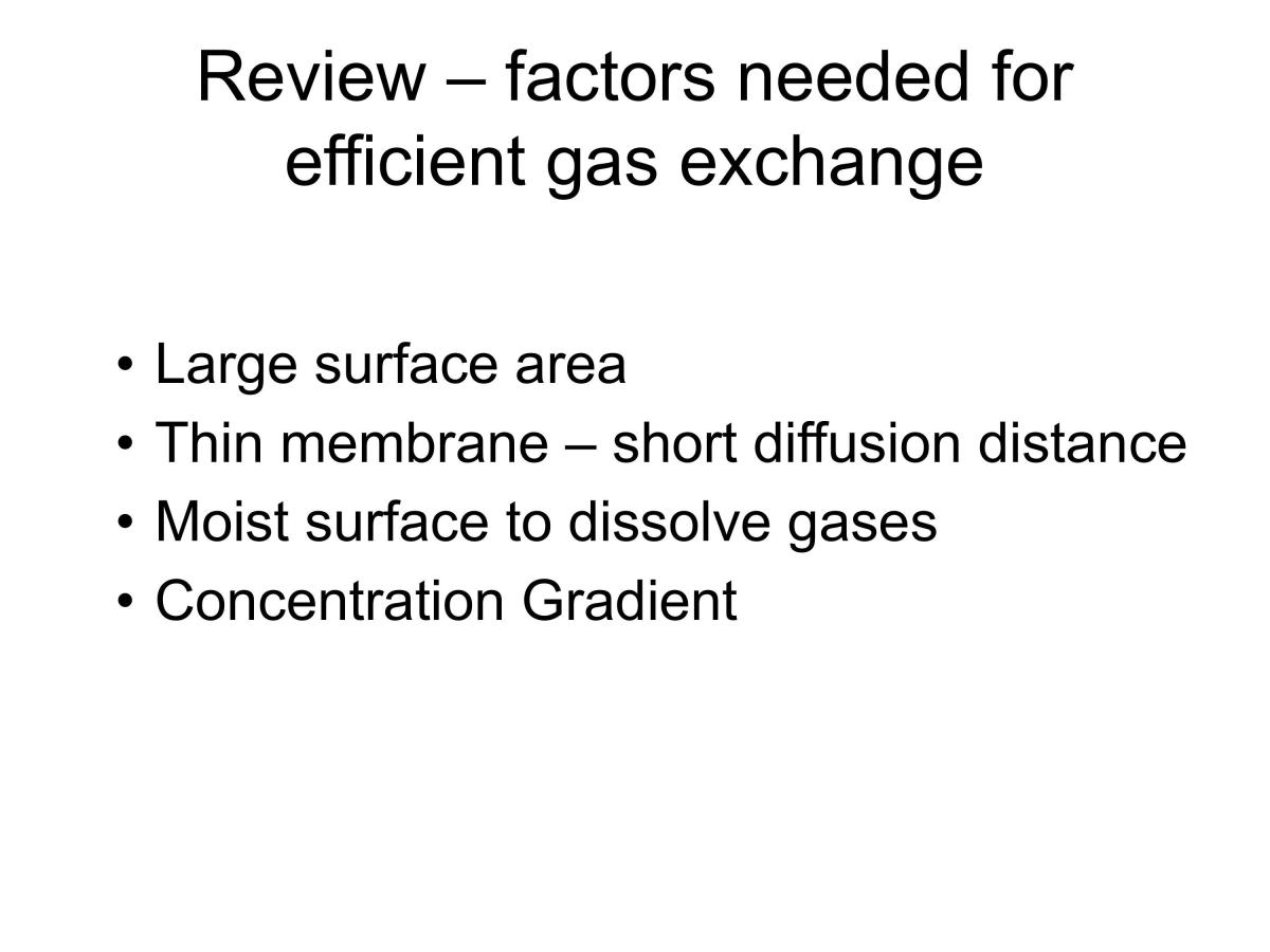 Review - factors needed for efficient gas exchange - Page 1