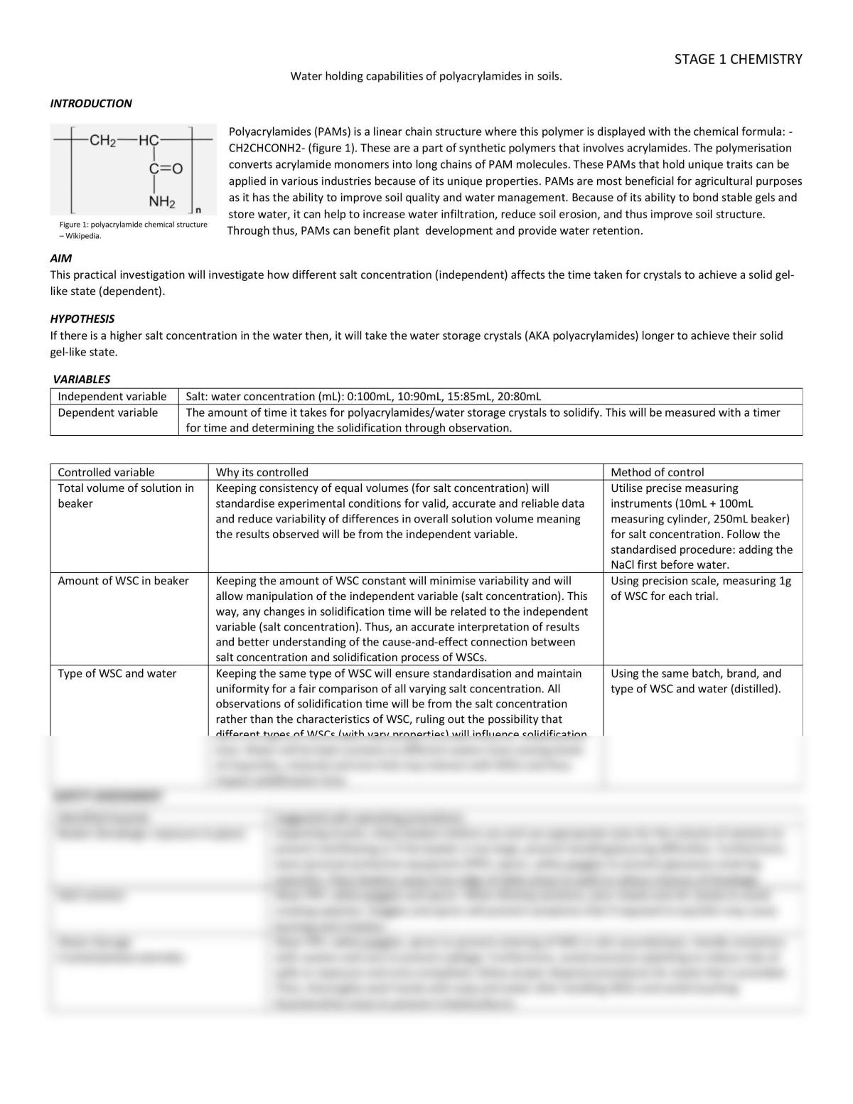 CHEMISTRY - PRAC REPORT: polyacrylamides - Page 1