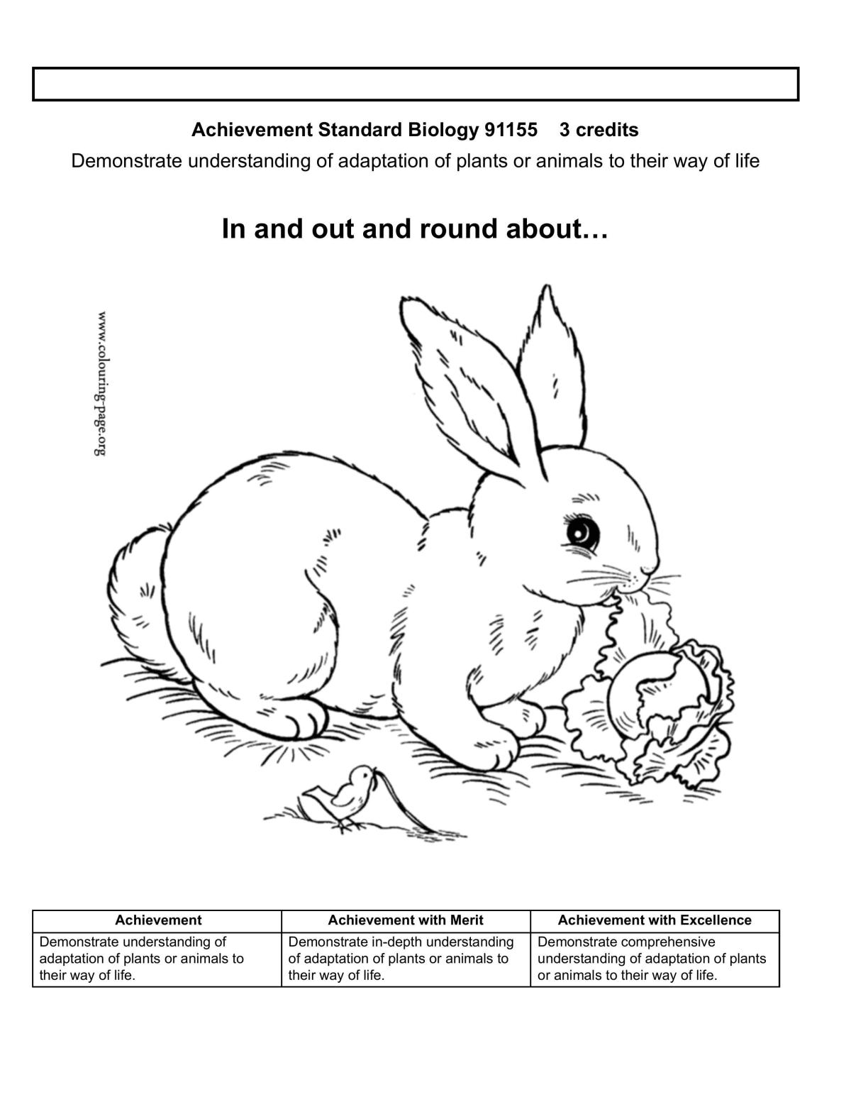 Animals digestion - Page 1