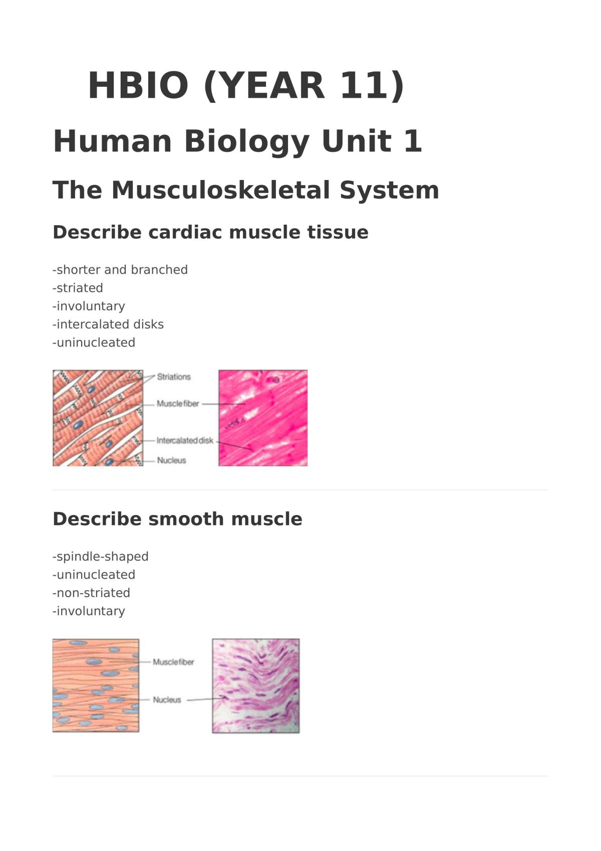 Human Biology Musculoskeletal system notes  - Page 1