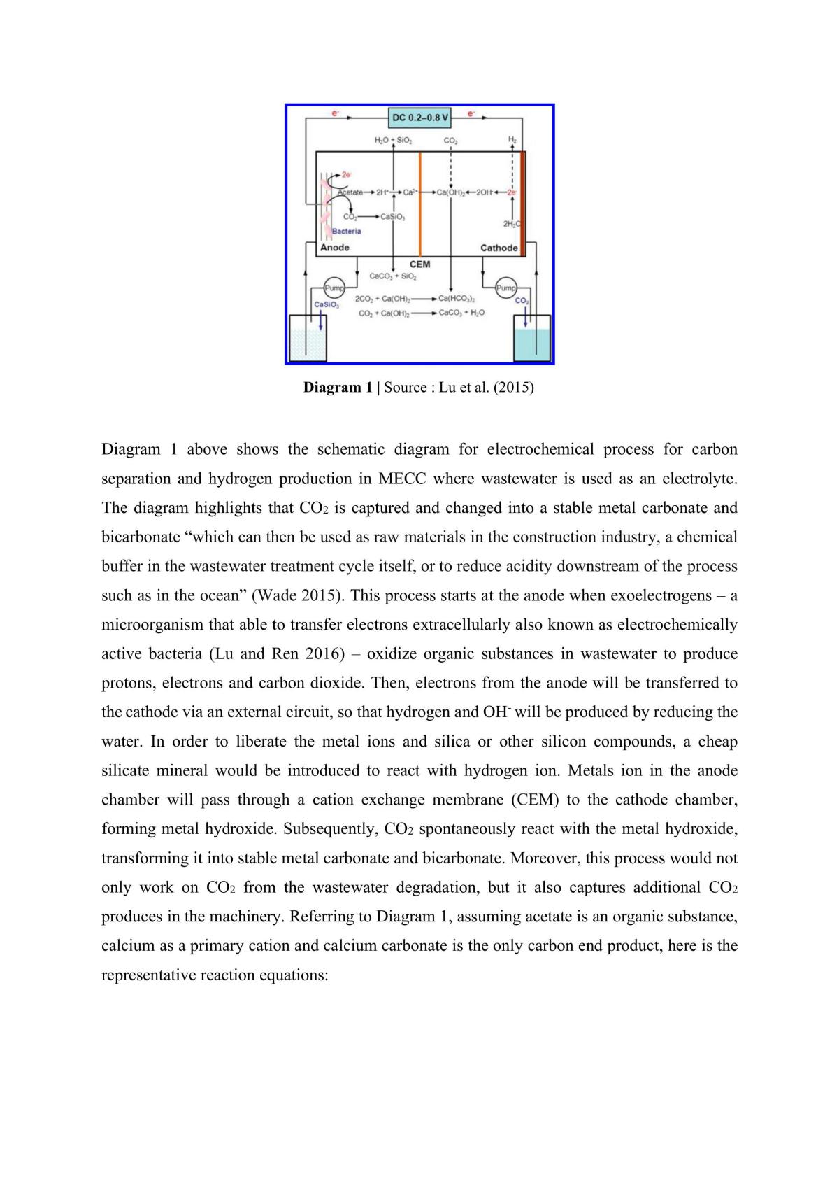 Microbial Electrolytic Carbon Capture SHE Task - Page 2