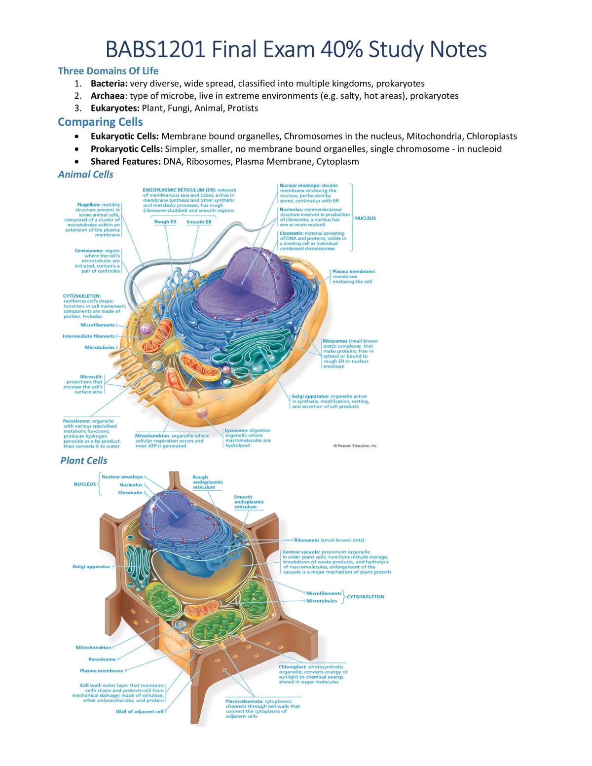 BABS1201 Exam Notes - Page 1
