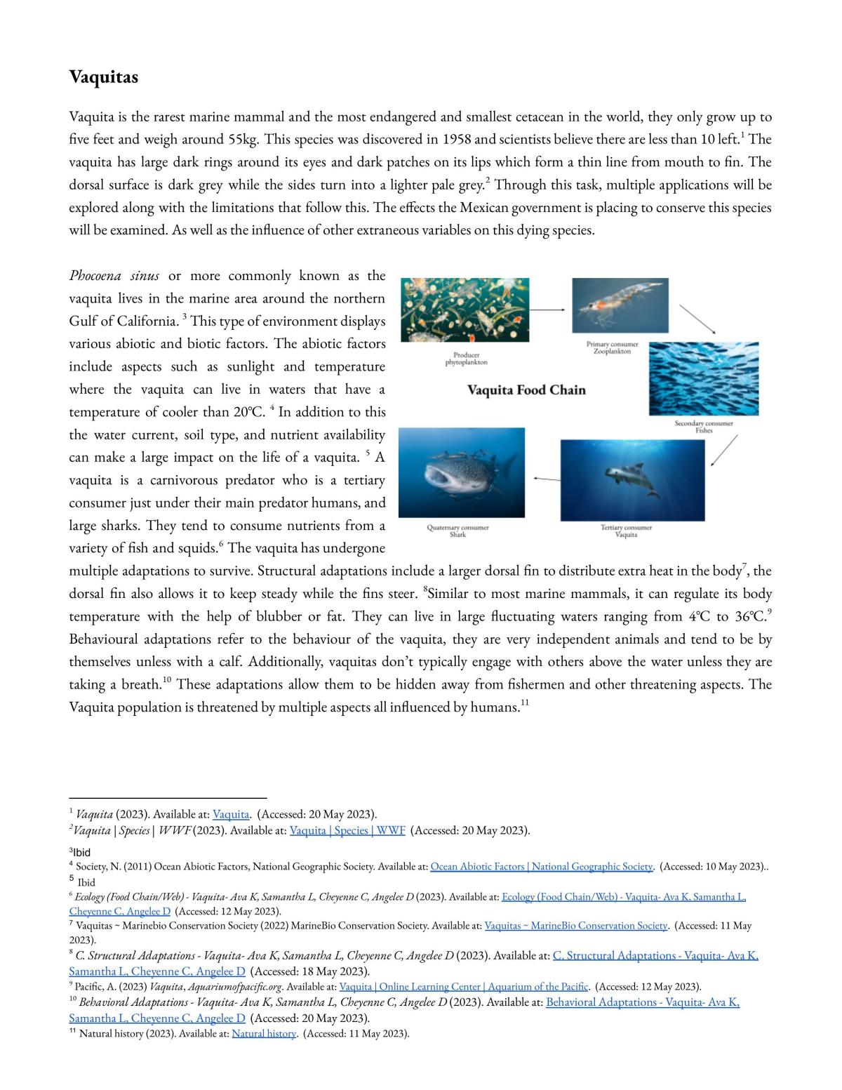 Vaquitas SHE task  - Page 1